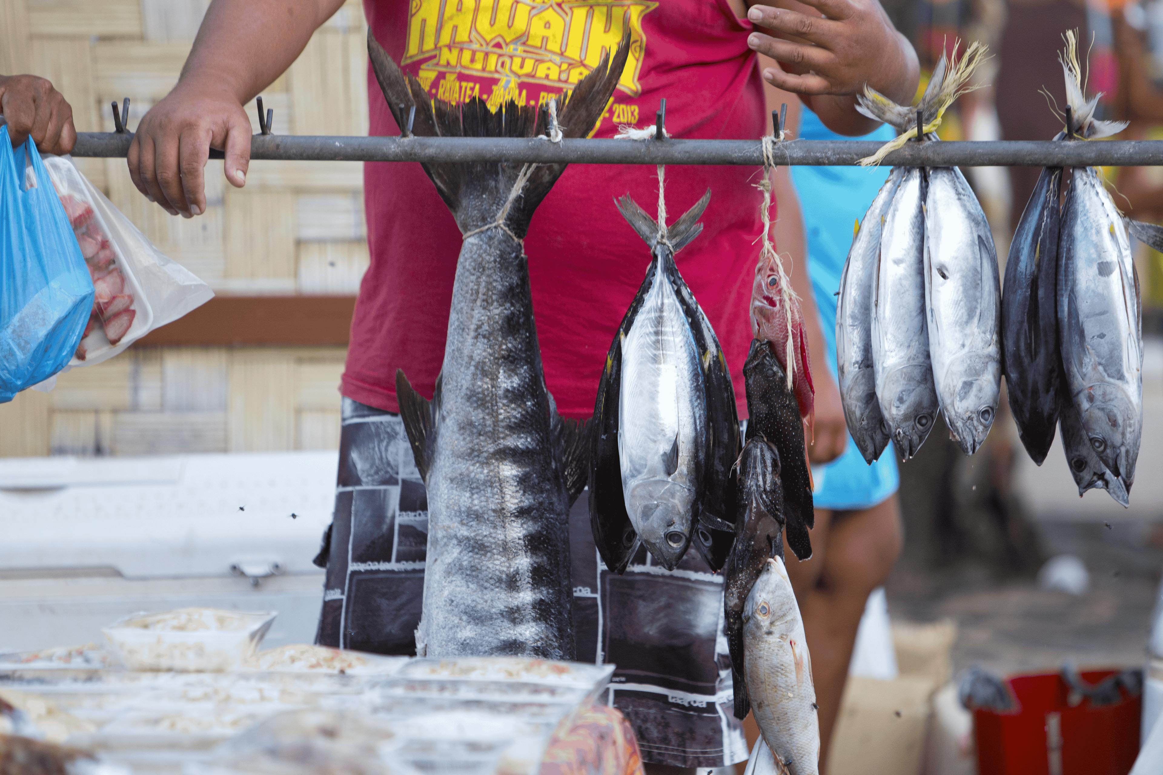 A vibrant fish market scene in Huahine, French Polynesia, displaying various local fish species including barracudas and tuna, hung for sale. Customers engage with vendors at a busy outdoor market, illustrating the island's rich fishing culture.
