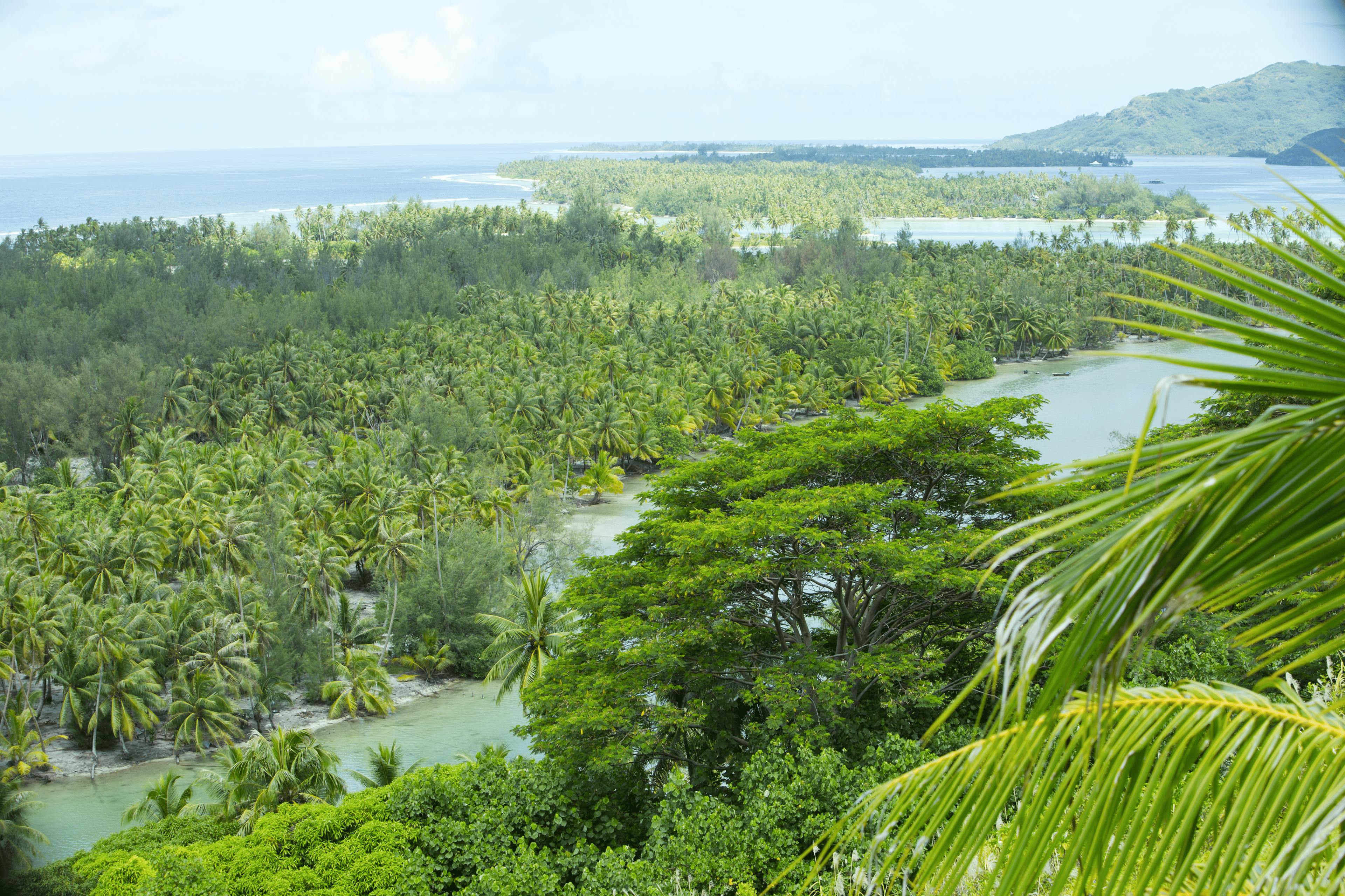 Vue panoramique de Huahine, en Polynésie française, dévoilant un paysage luxuriant de palmiers, de lagons turquoise et de forêts tropicales. L’océan s’étend à l’horizon, bordé par des plages et des îlots sauvages, offrant une scène naturelle préservée et paradisiaque.