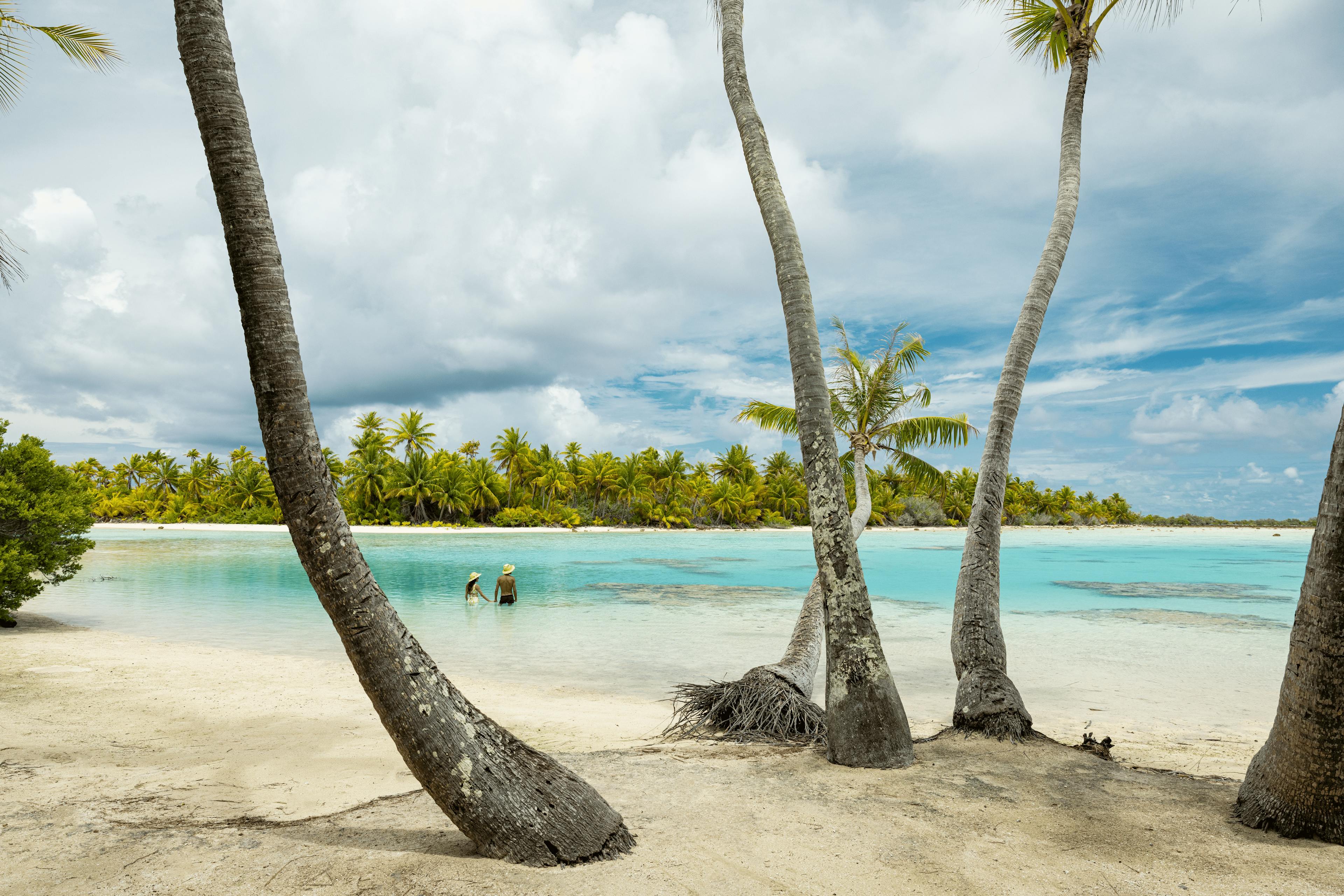 Un paysage idyllique de Fakarava avec une plage de sable blanc bordée de palmiers penchés sur une eau cristalline. Deux personnes, coiffées de chapeaux de paille, se tiennent dans le lagon peu profond, profitant de la beauté naturelle de l’île.