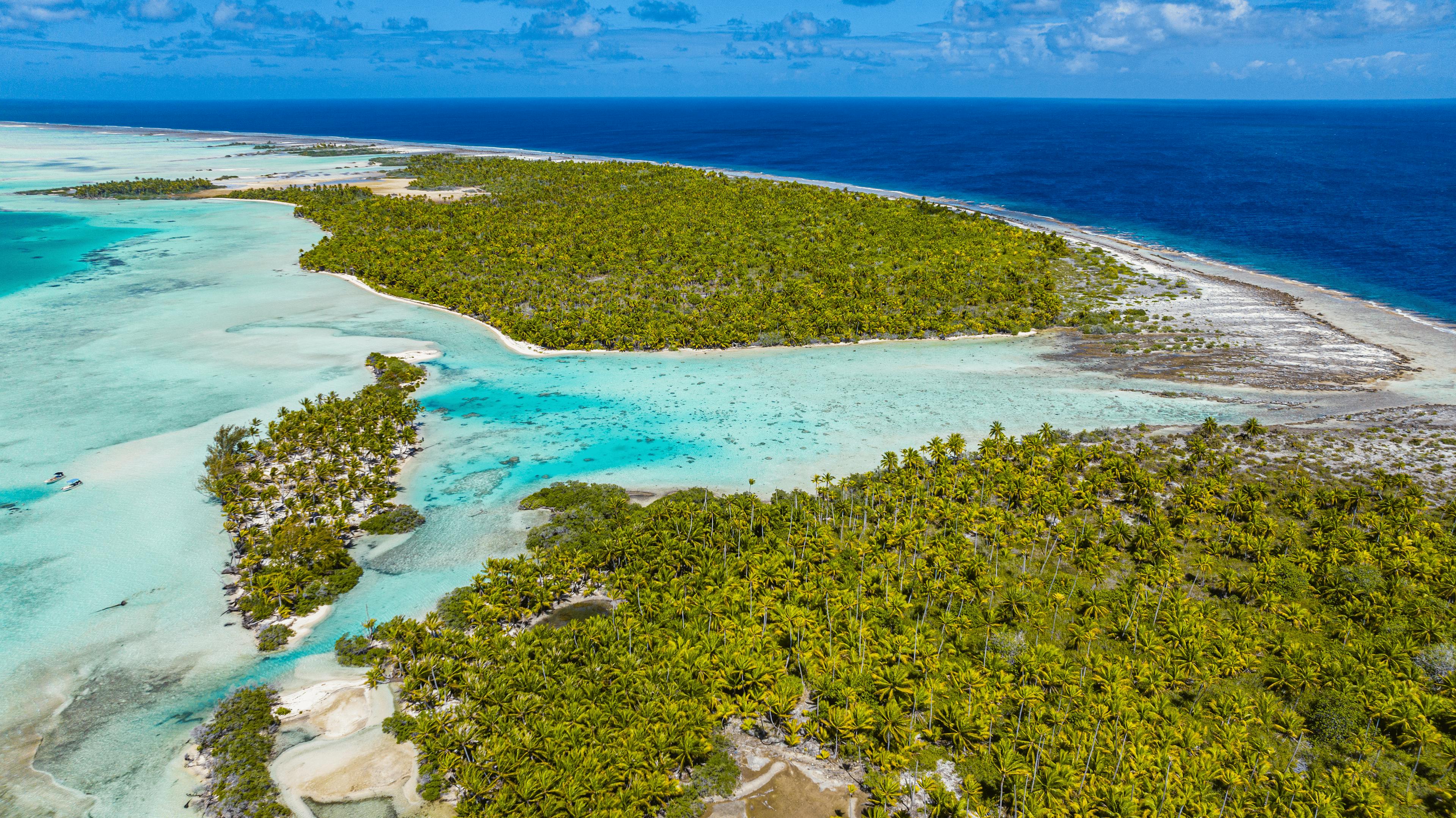 Vue aérienne spectaculaire d’un atoll de Fakarava, dévoilant un lagon turquoise bordé de plages de sable blanc et de cocotiers denses. L’océan Pacifique s’étend à l’horizon, contrastant entre ses eaux profondes et les tons clairs du lagon.