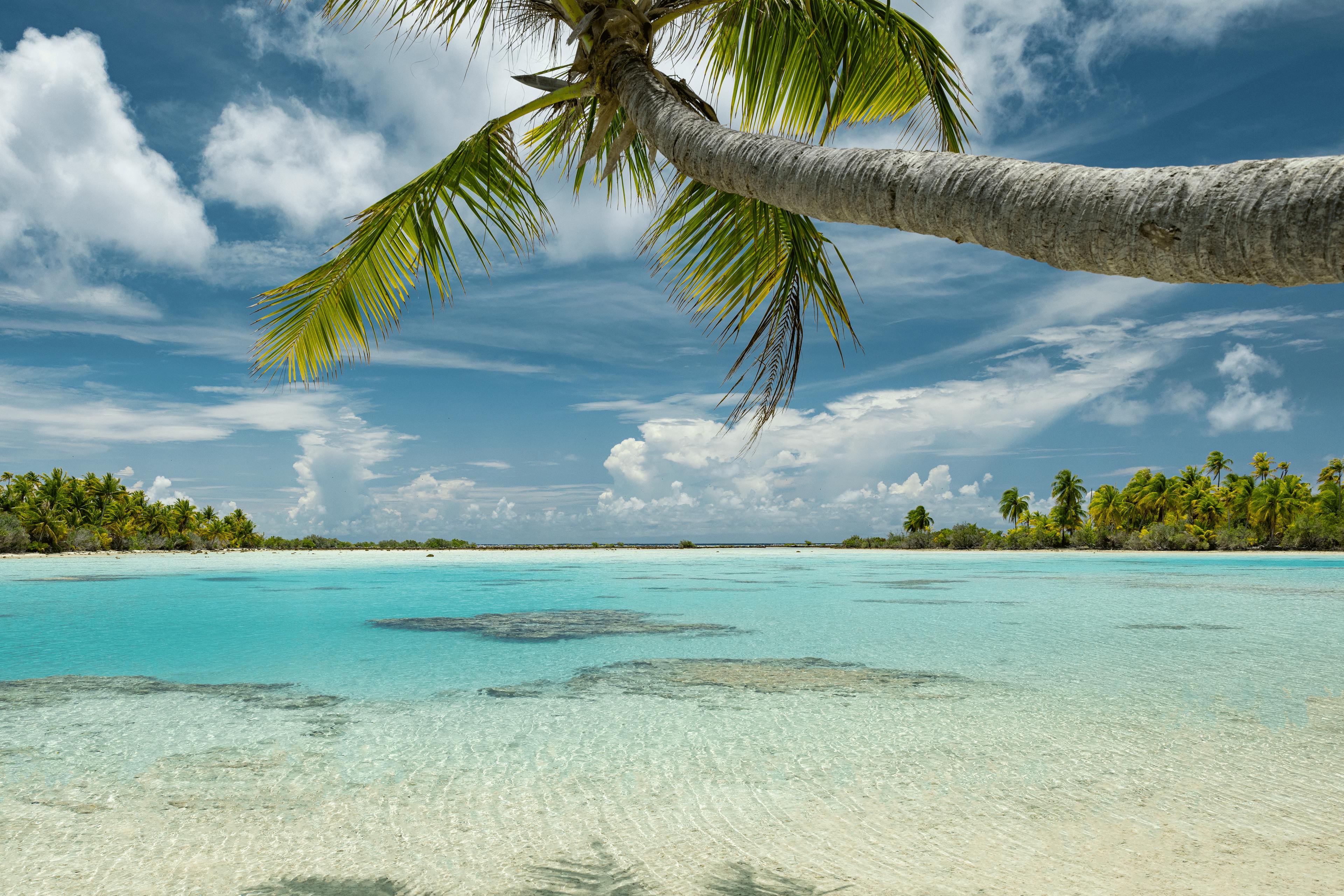 An idyllic beach in Fakarava with shallow, crystal-clear waters, where the shadow of a coconut tree is cast onto the white sand. In the distance, lush palm trees frame the lagoon beneath a partly cloudy sky.