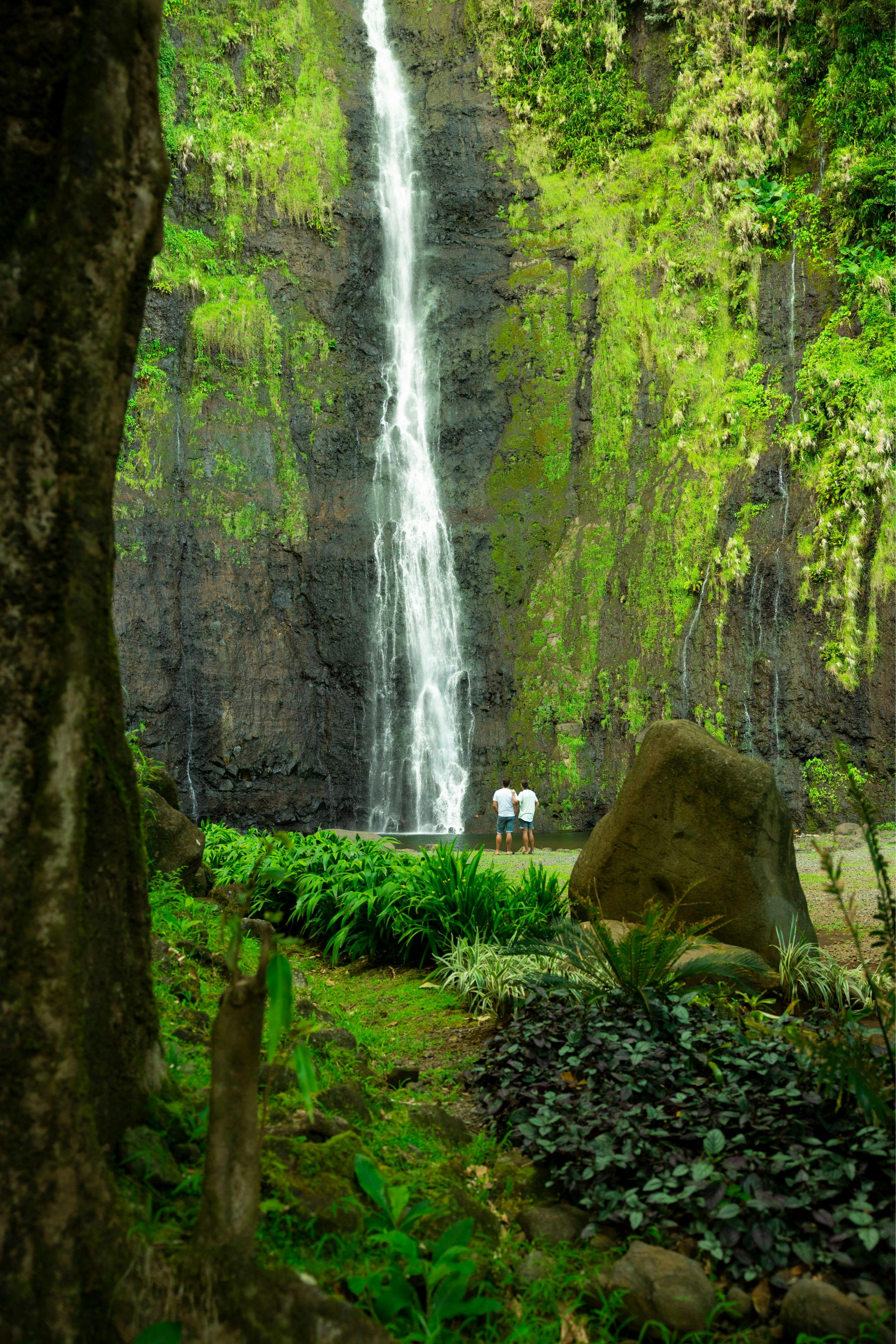 Tahiti's waterfall