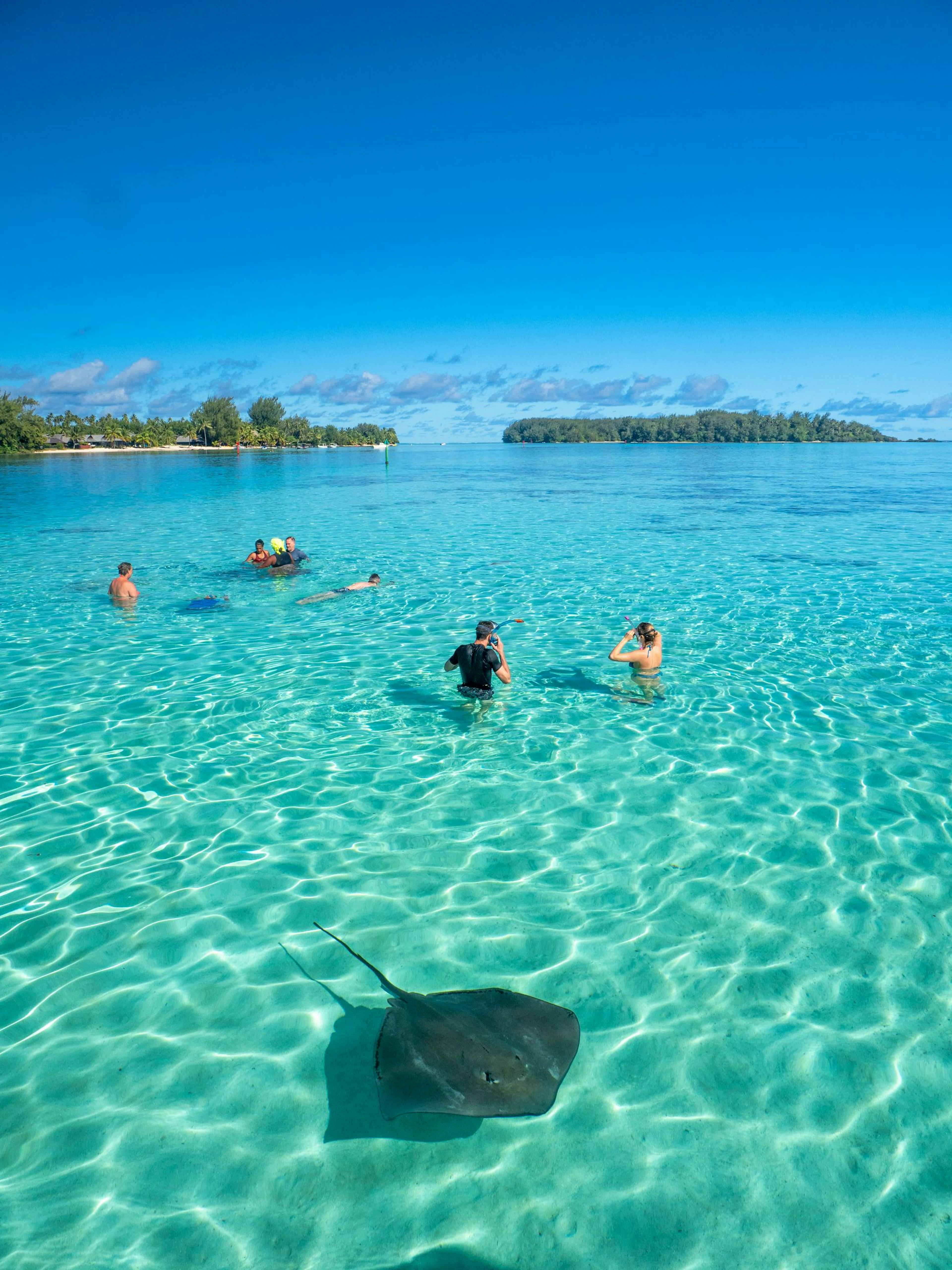 Moorea's lagoon