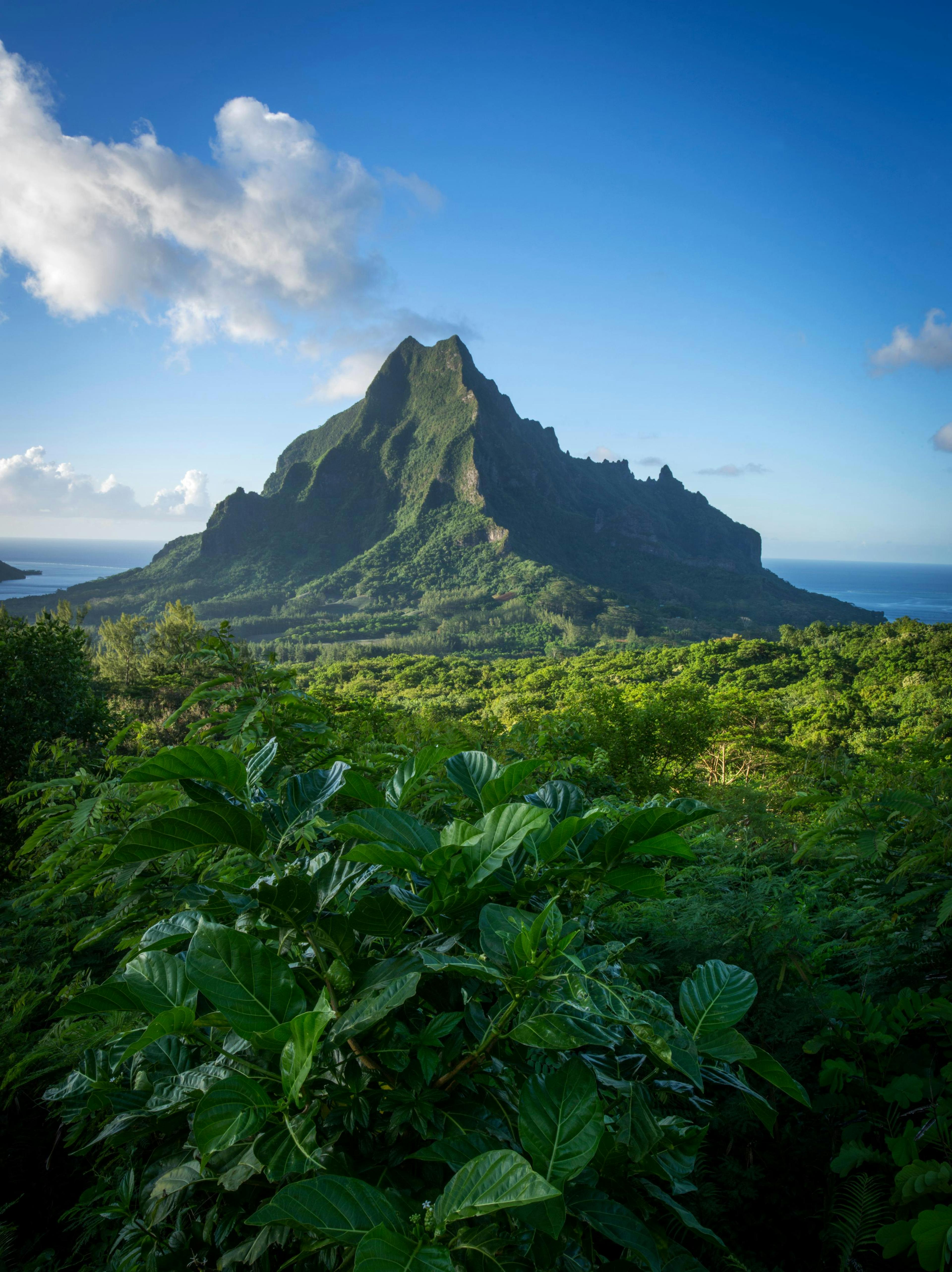 Moorea's mountain