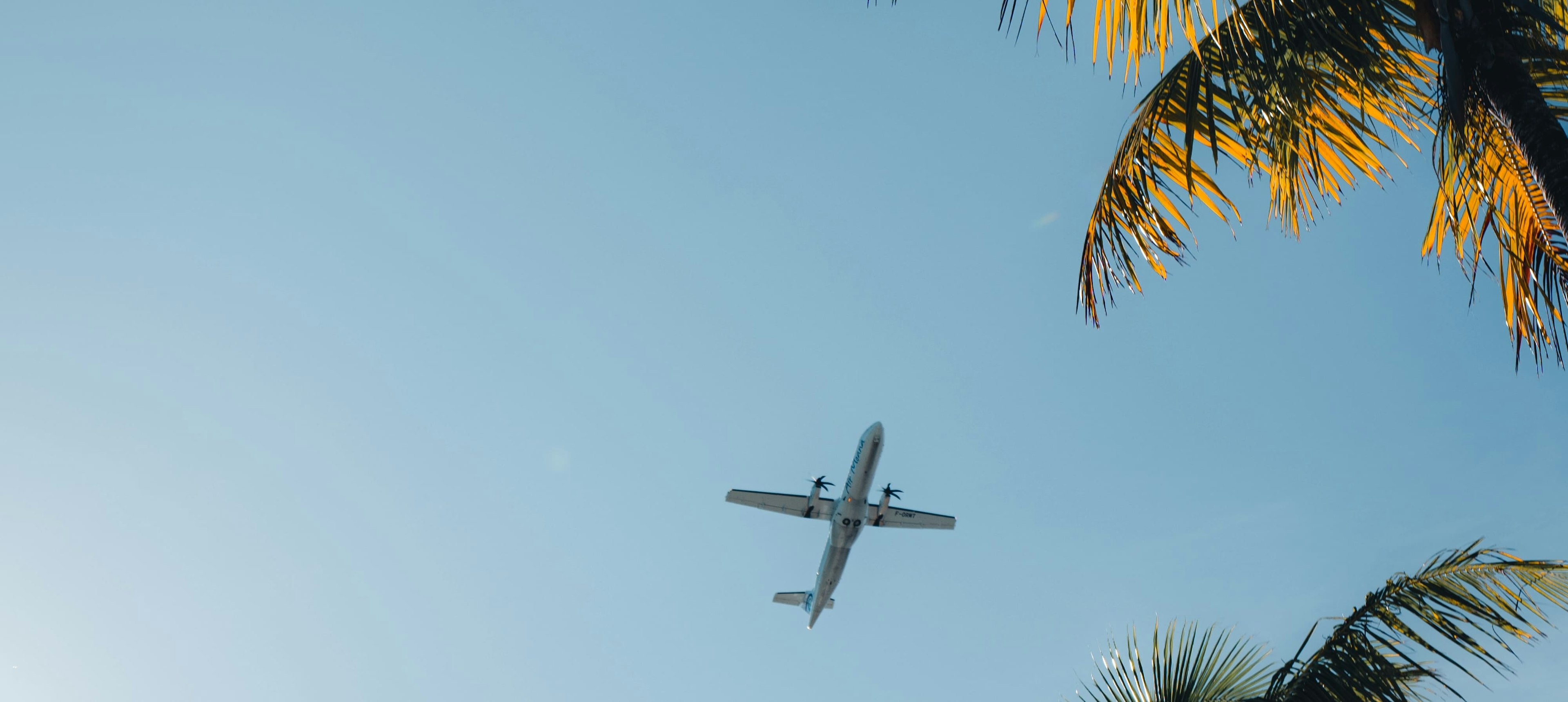 Air Moana plane in flight, viewed from the ground.