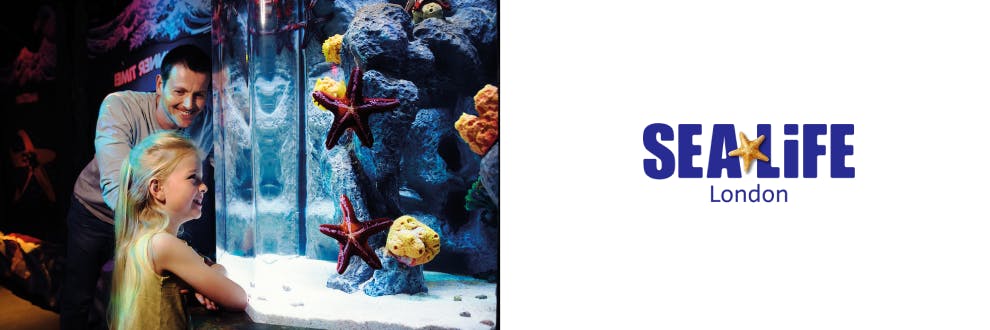 SEA LIFE London Cashback