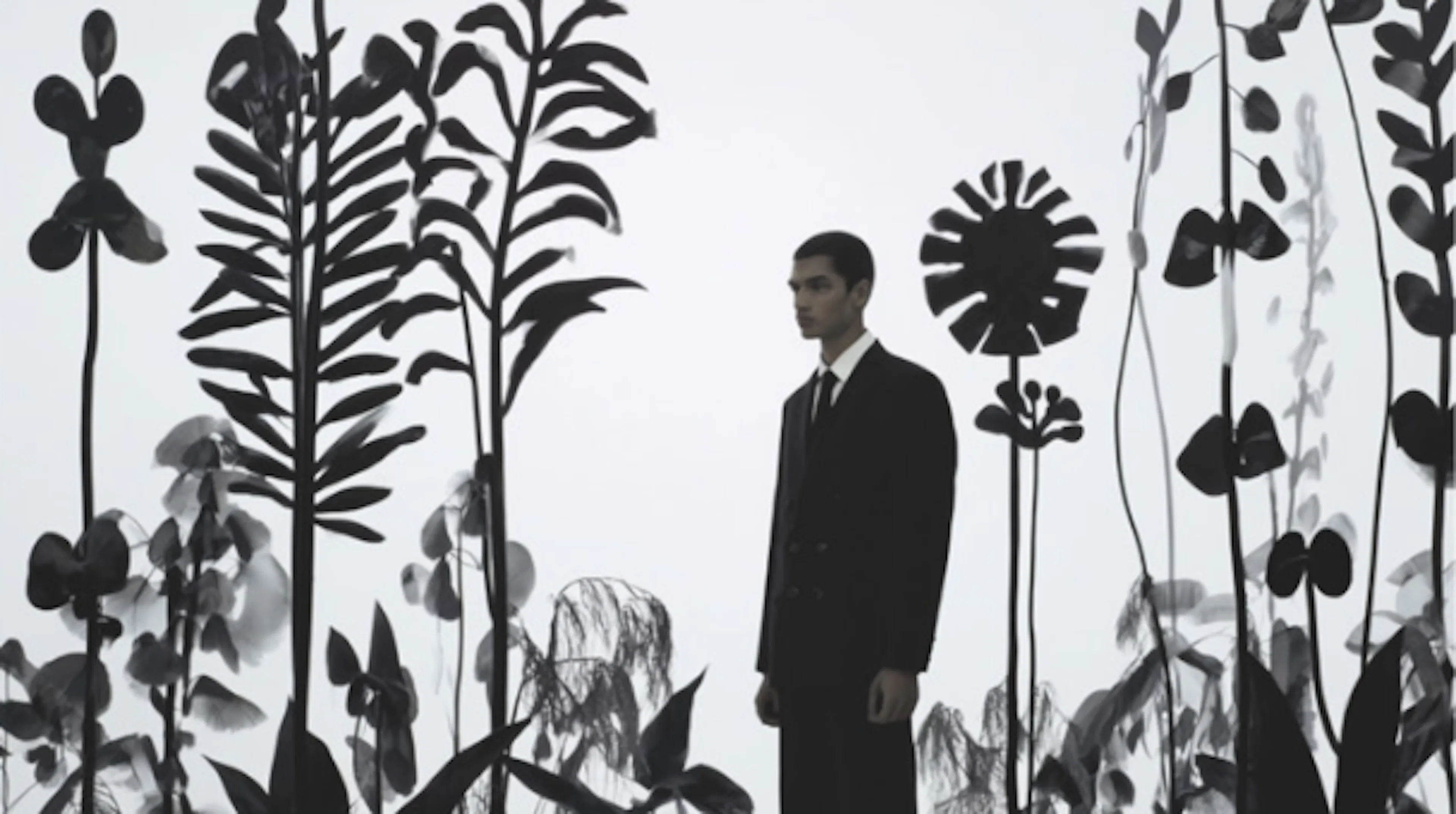 man standing with giant plants