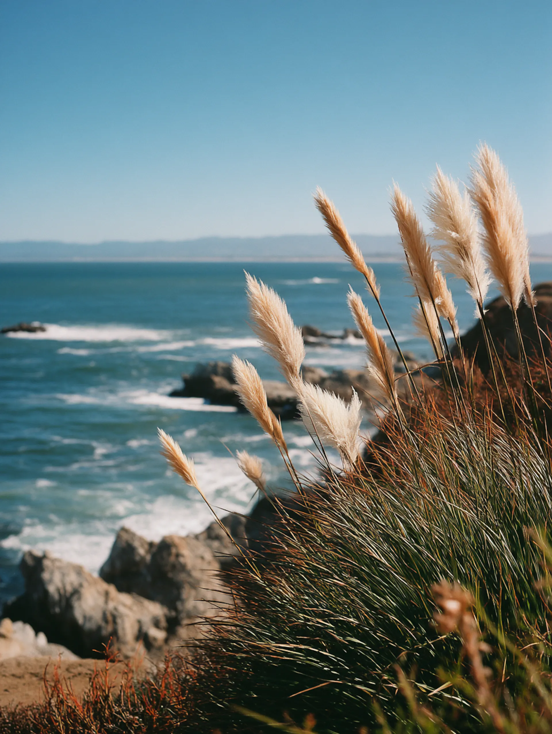 paysage en bord de mer