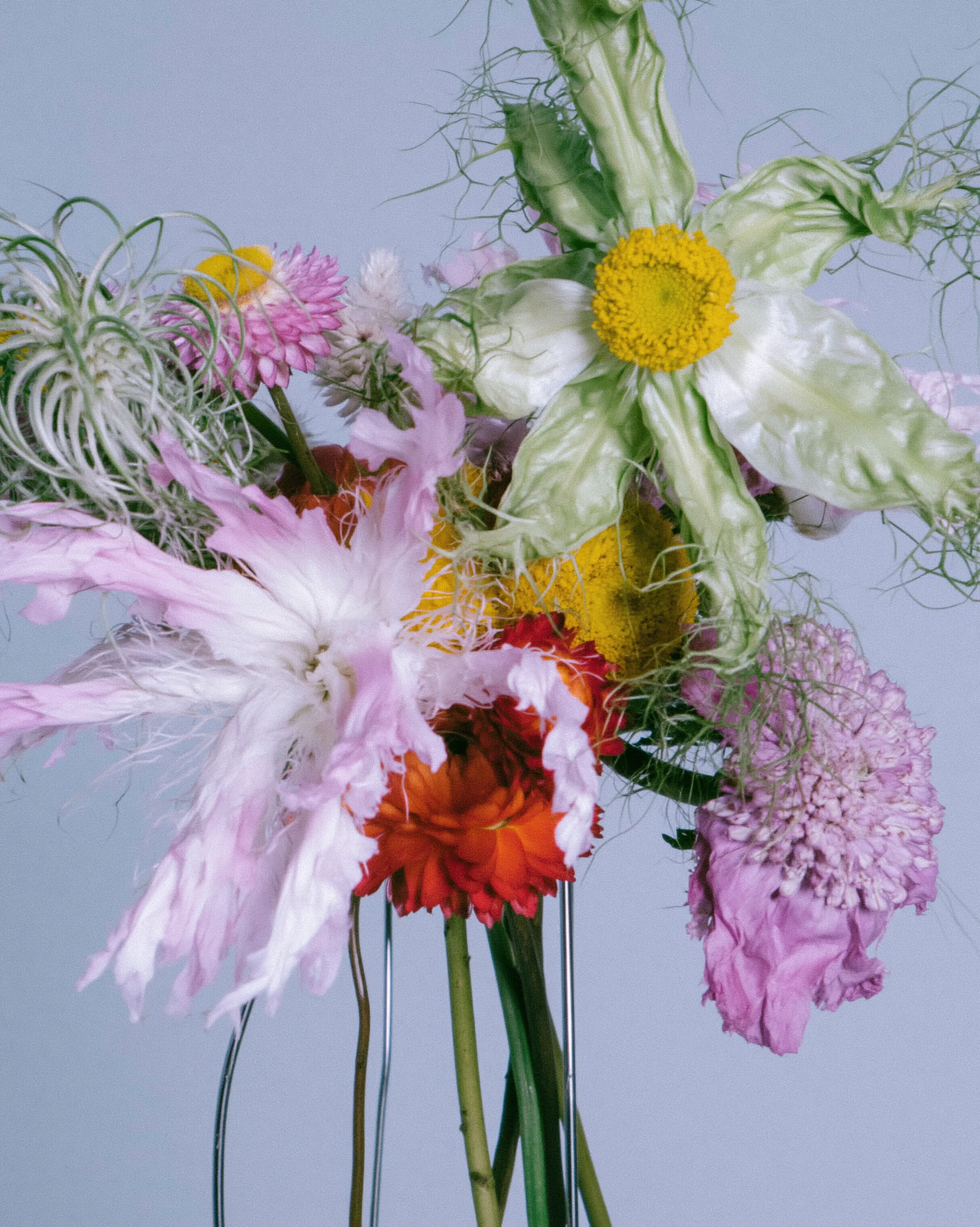 bouquet de fleurs