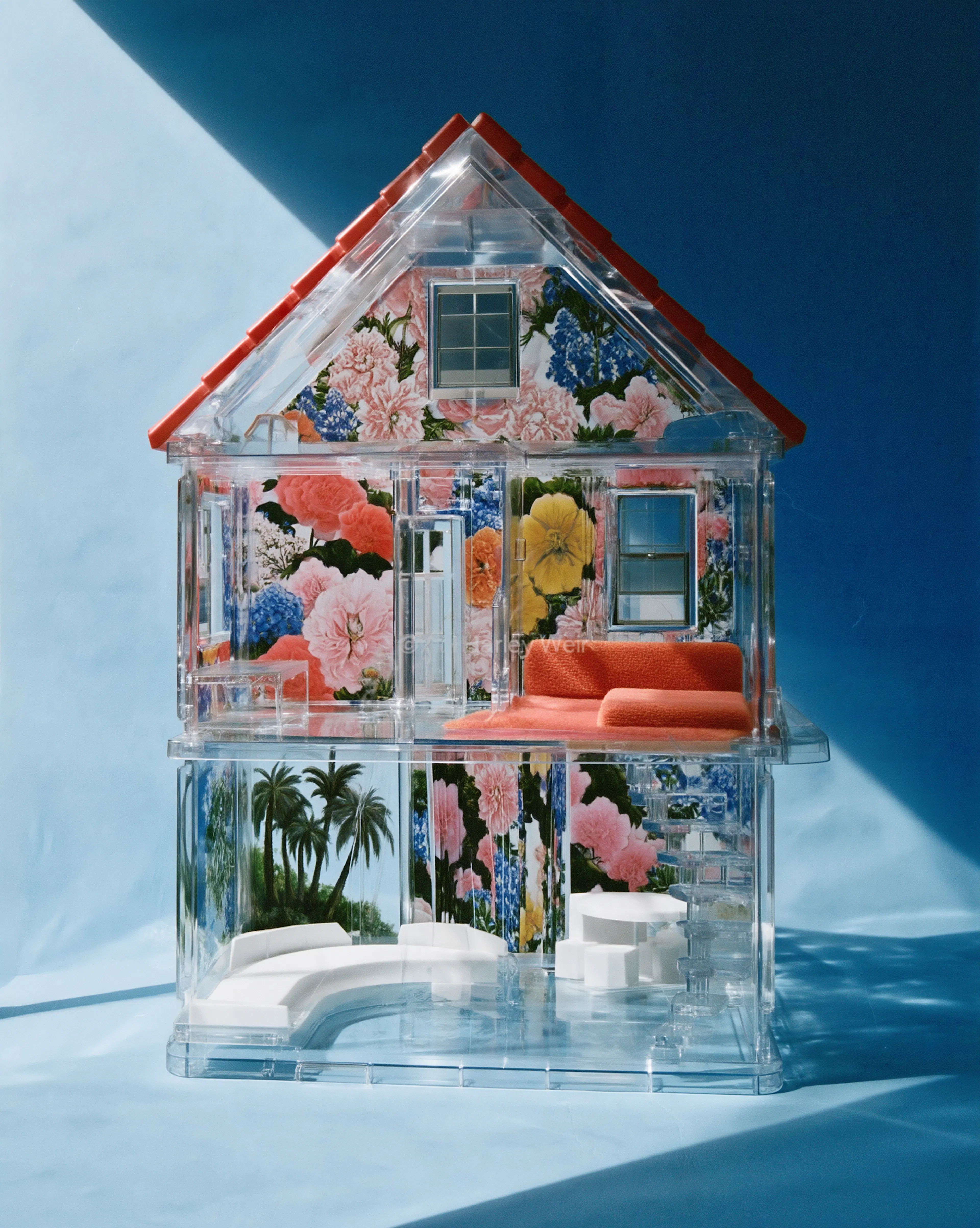 maison de poupée transparente 
