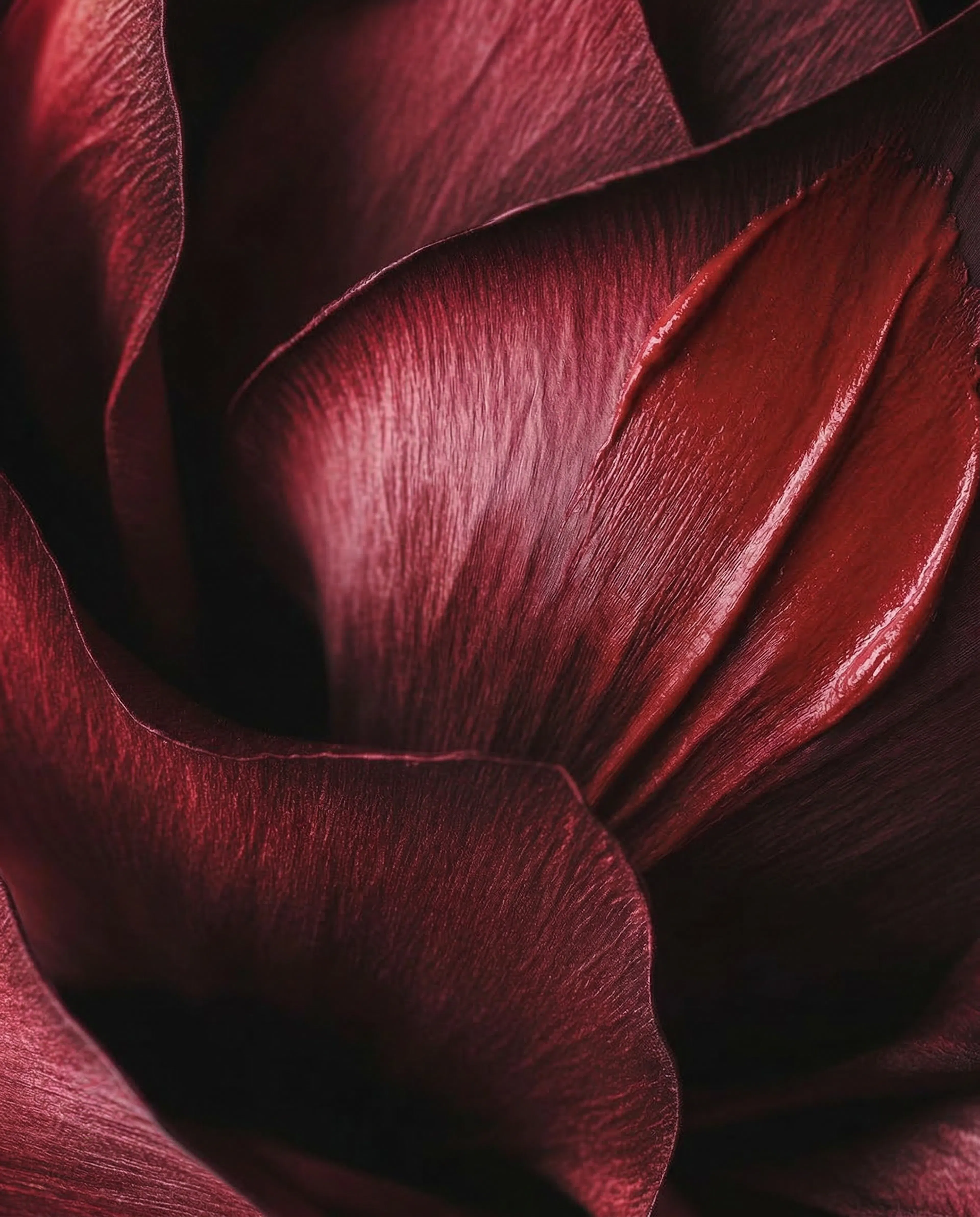 fleur rouge