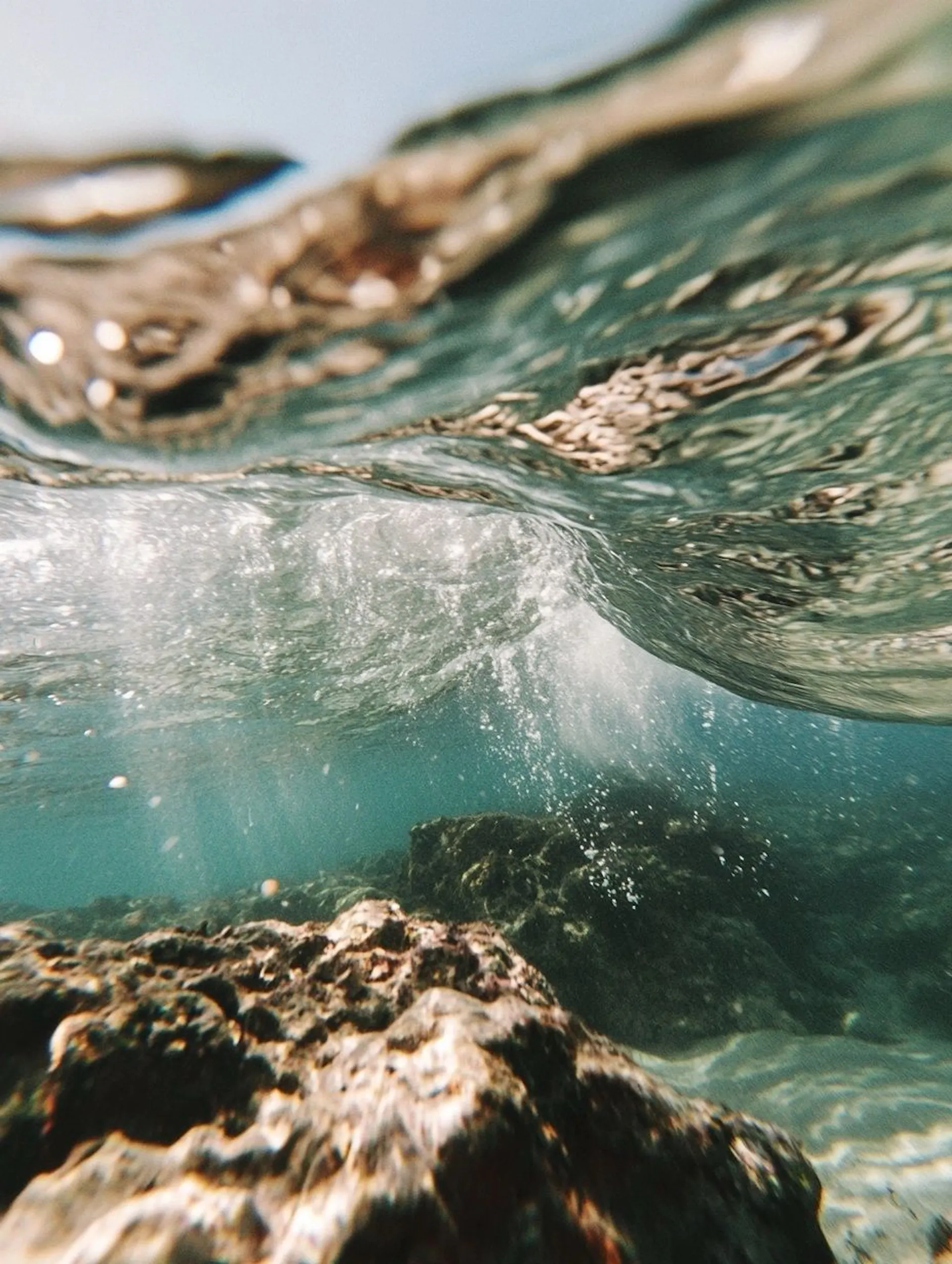 vue sous marine