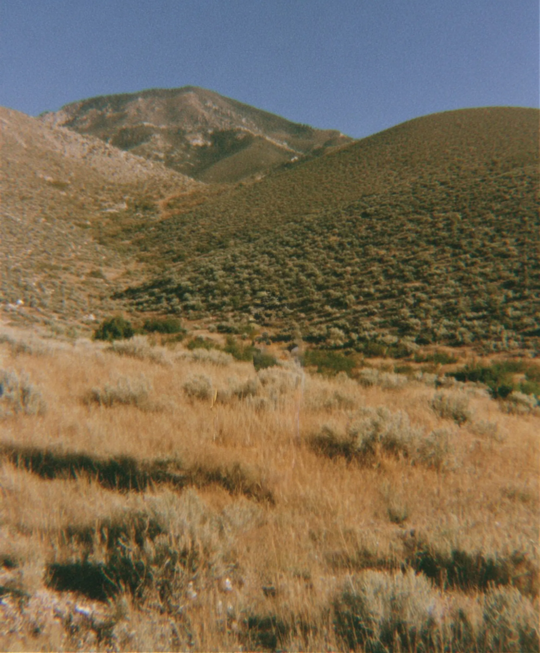 colline ensoleillée