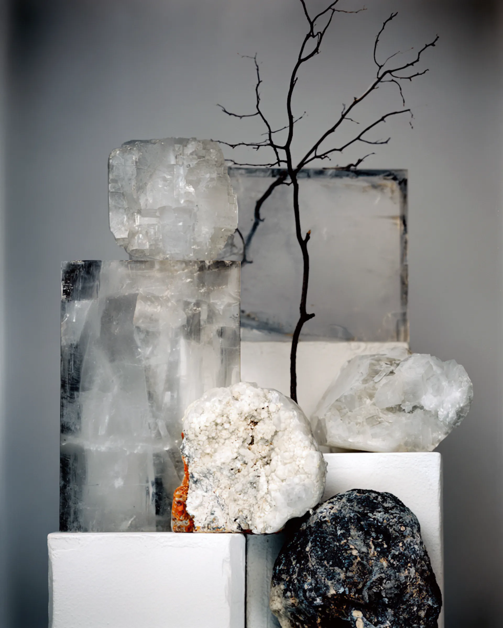 composition floral et set design gris