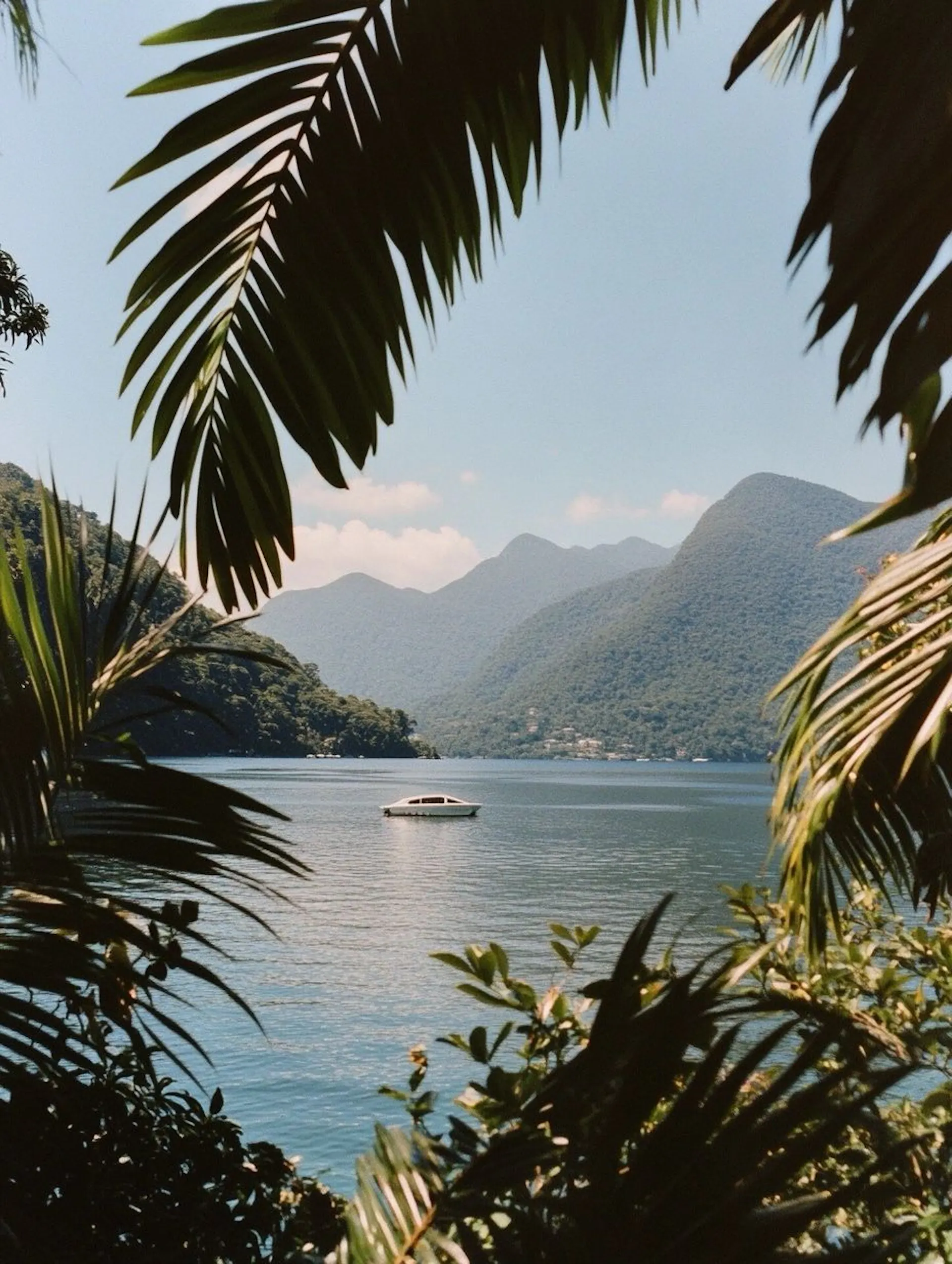 paysage ensoleillé et montagnes