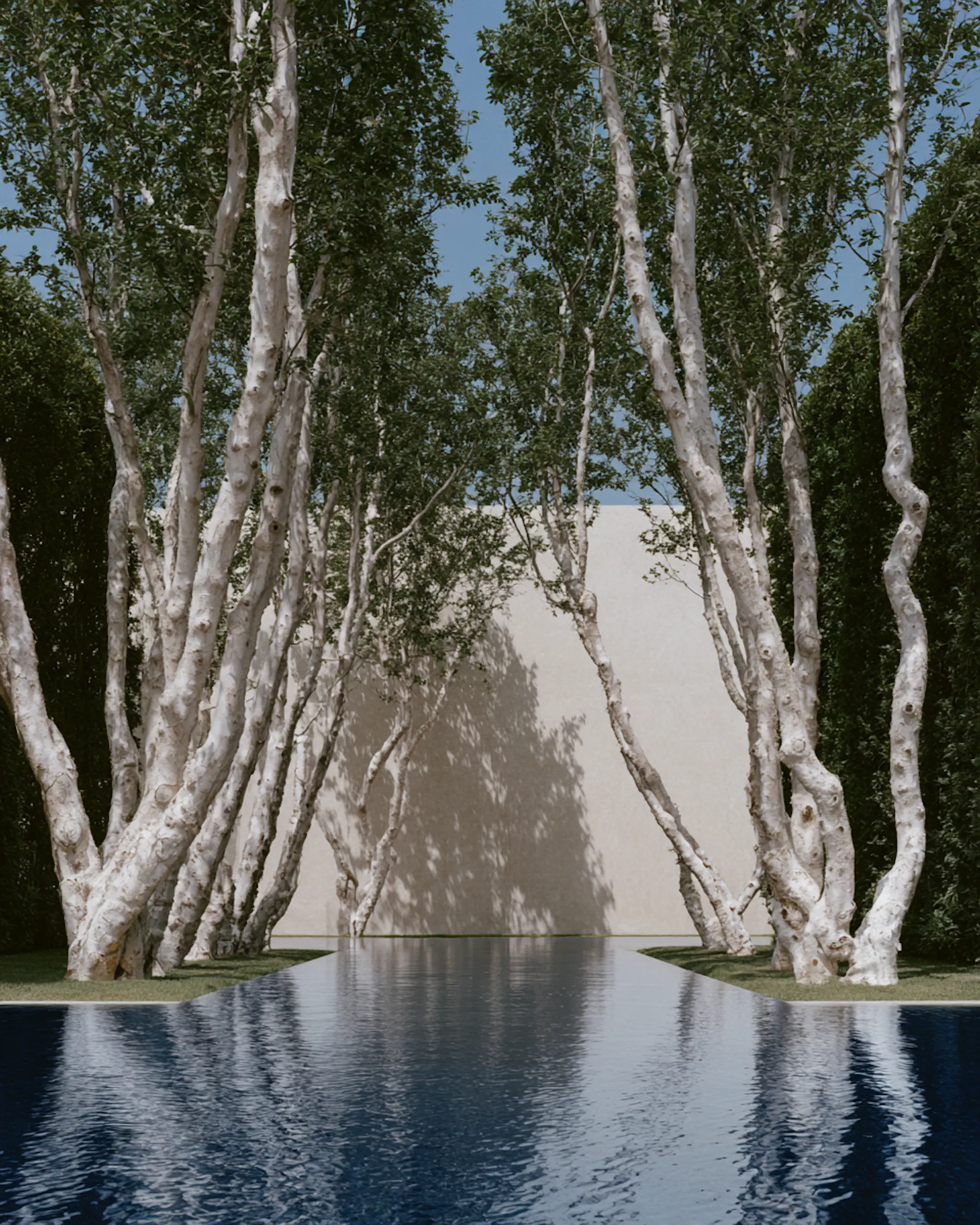 piscine avec mur blan et arbres sur les côtés