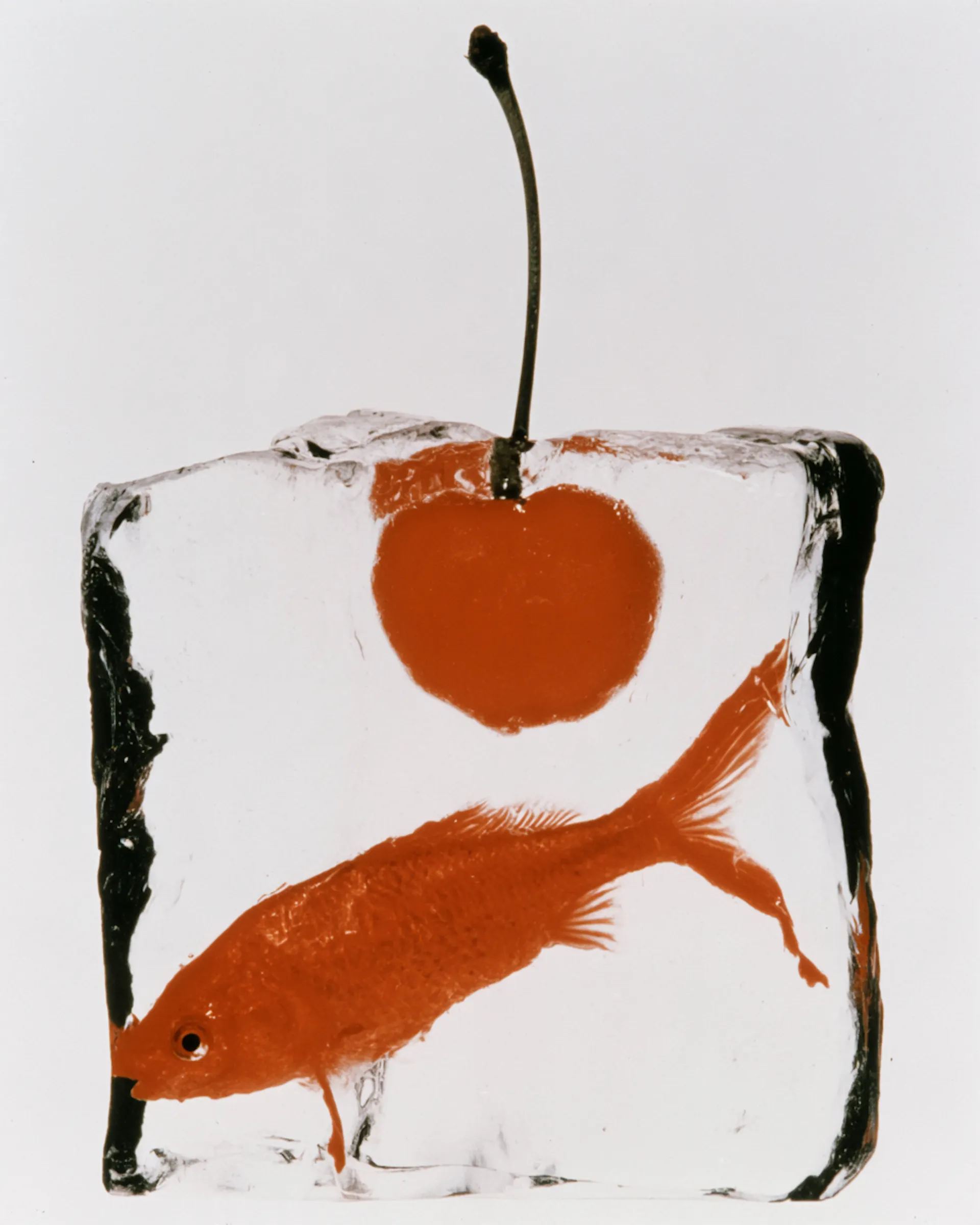 cerise et poisson rouge dans glacon