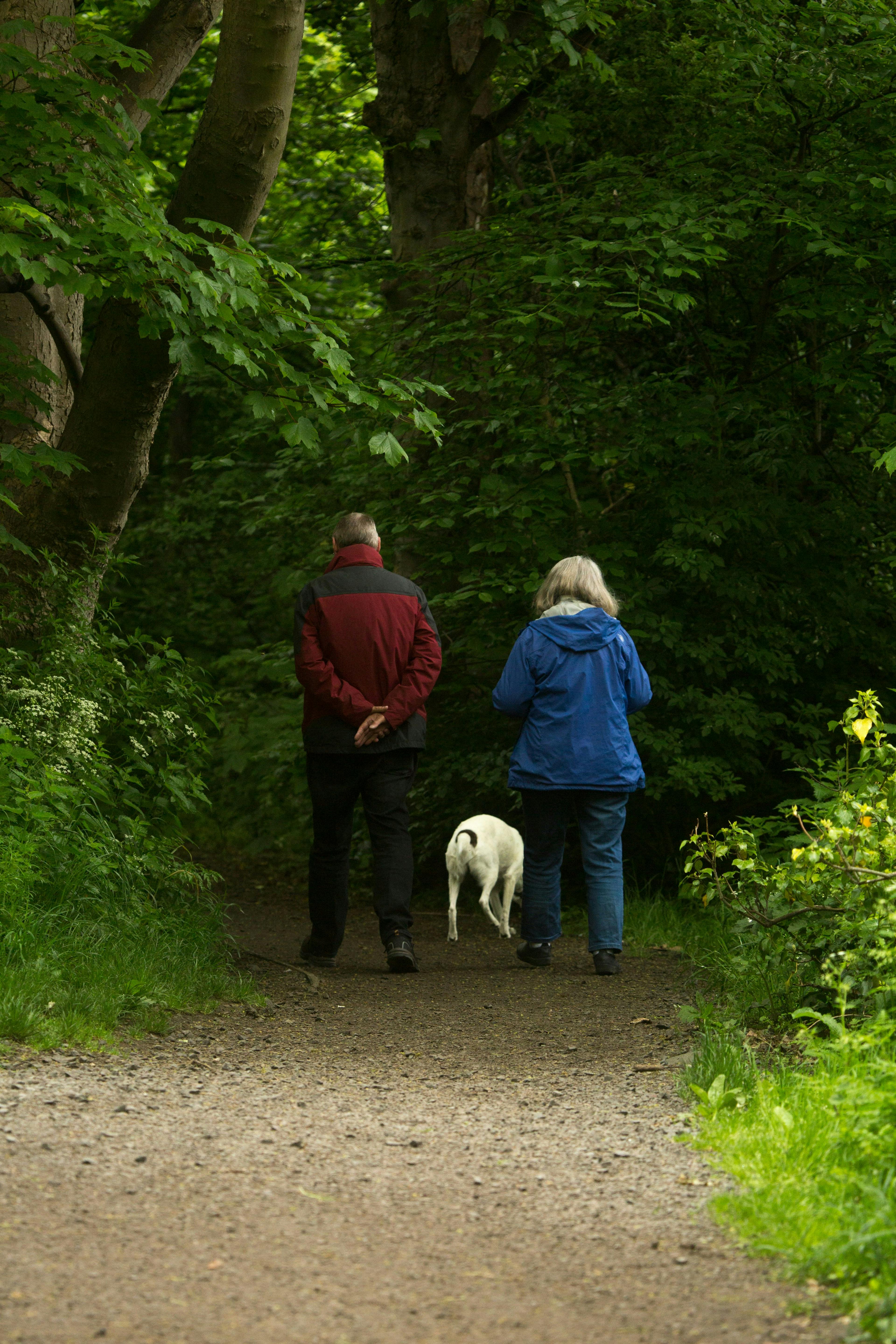 Man and Woman Walking a Dog