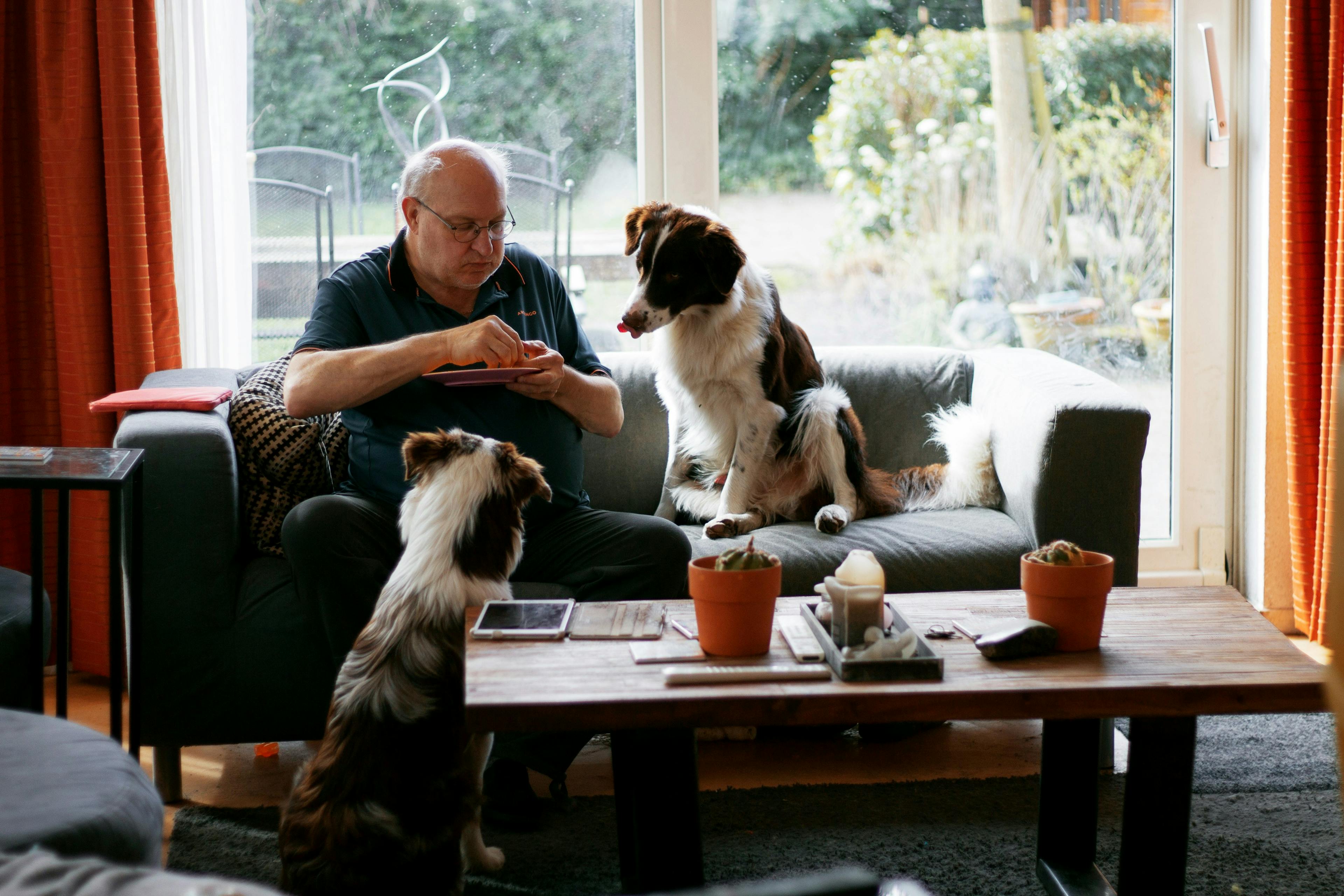 A man and two dogs