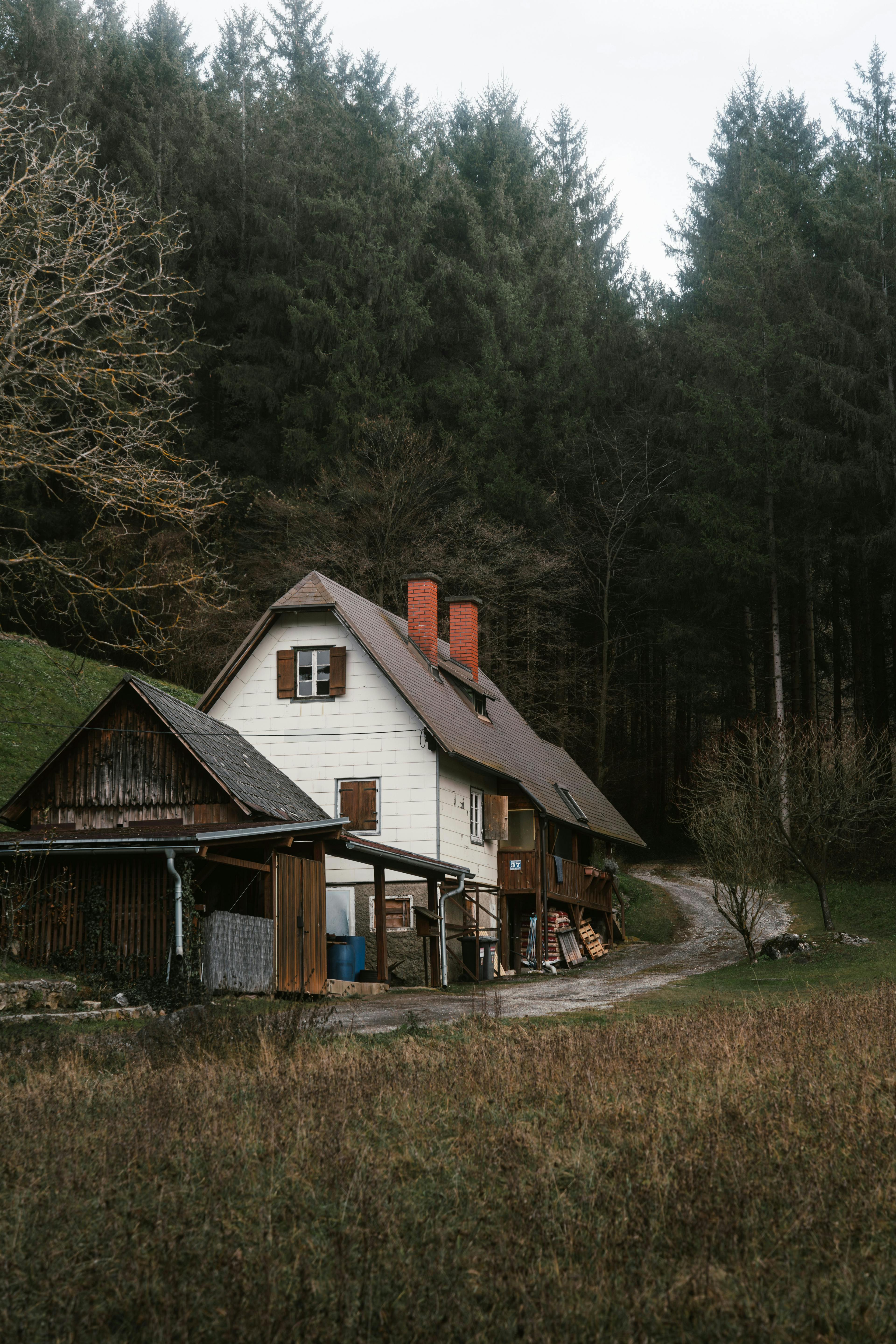 Picture of a dwelling house