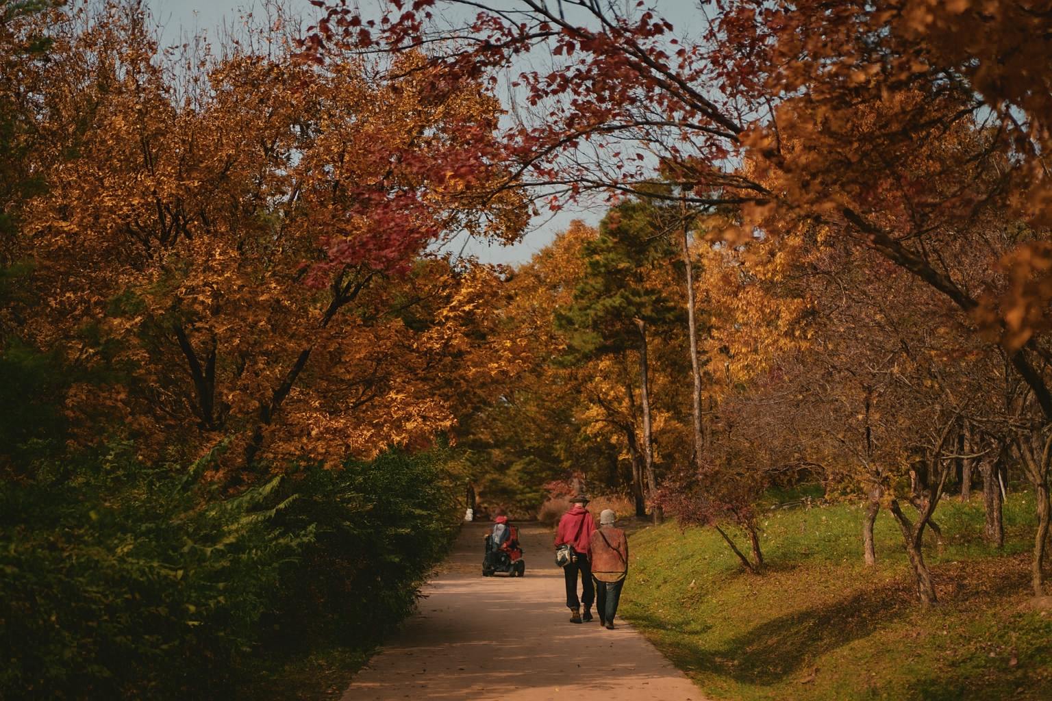 Picture of retired couple