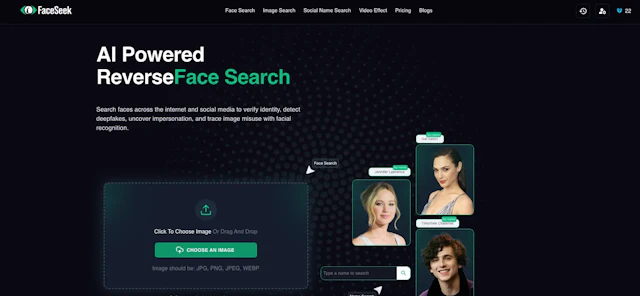 FaceSeek - AI Tool Logo & Interface Preview