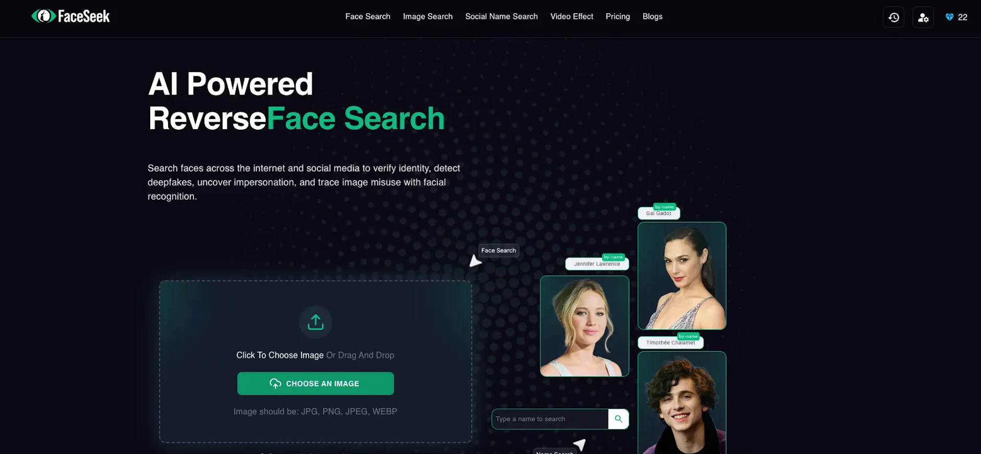 FaceSeek - AI Tool Features, UI & Interface Overview