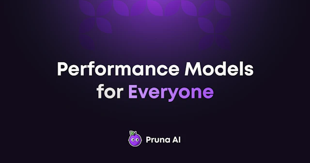Pruna AI - AI Tool Logo & Interface Preview