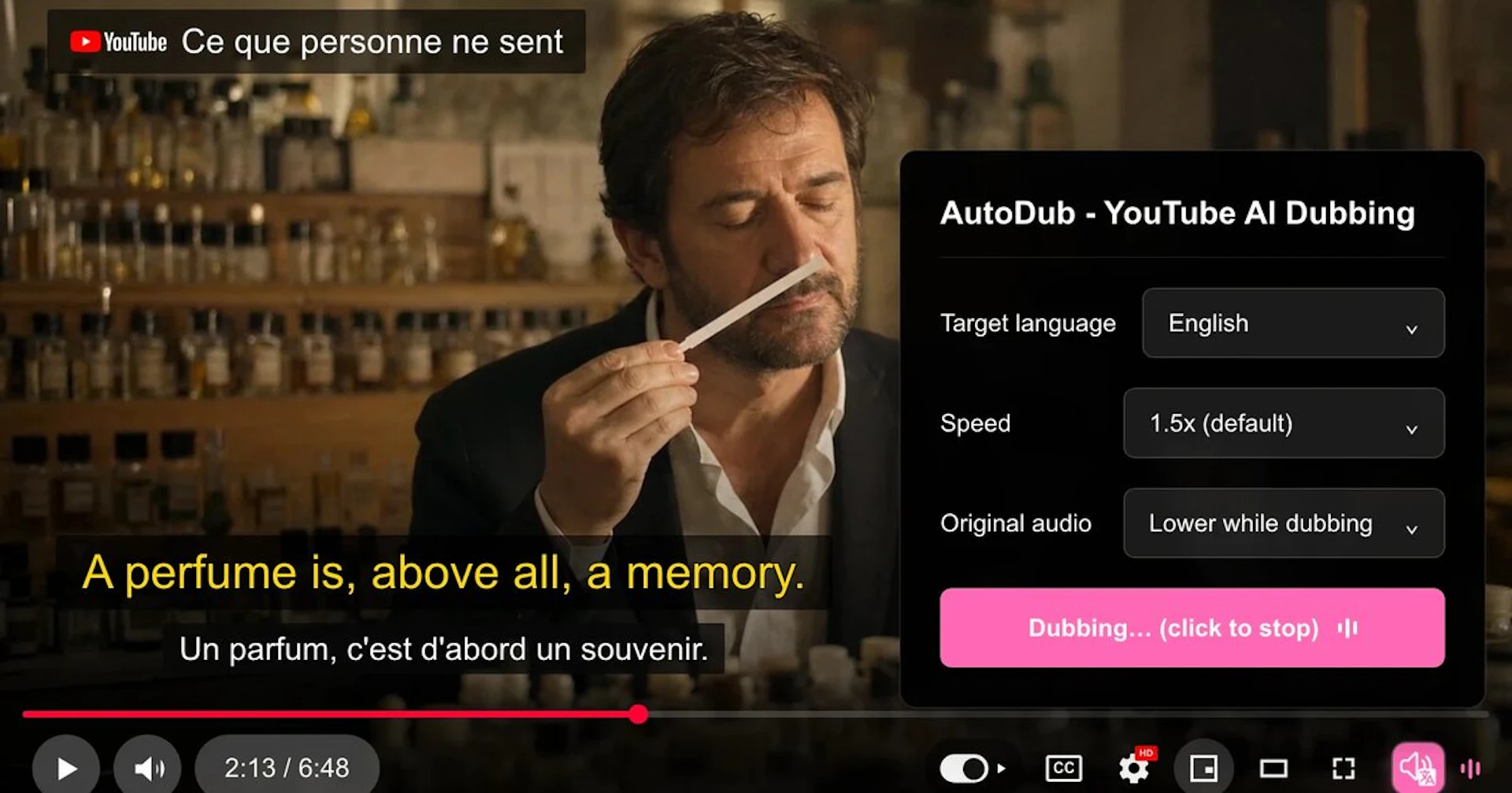 AutoDub - AI Tool Features, UI & Interface Overview