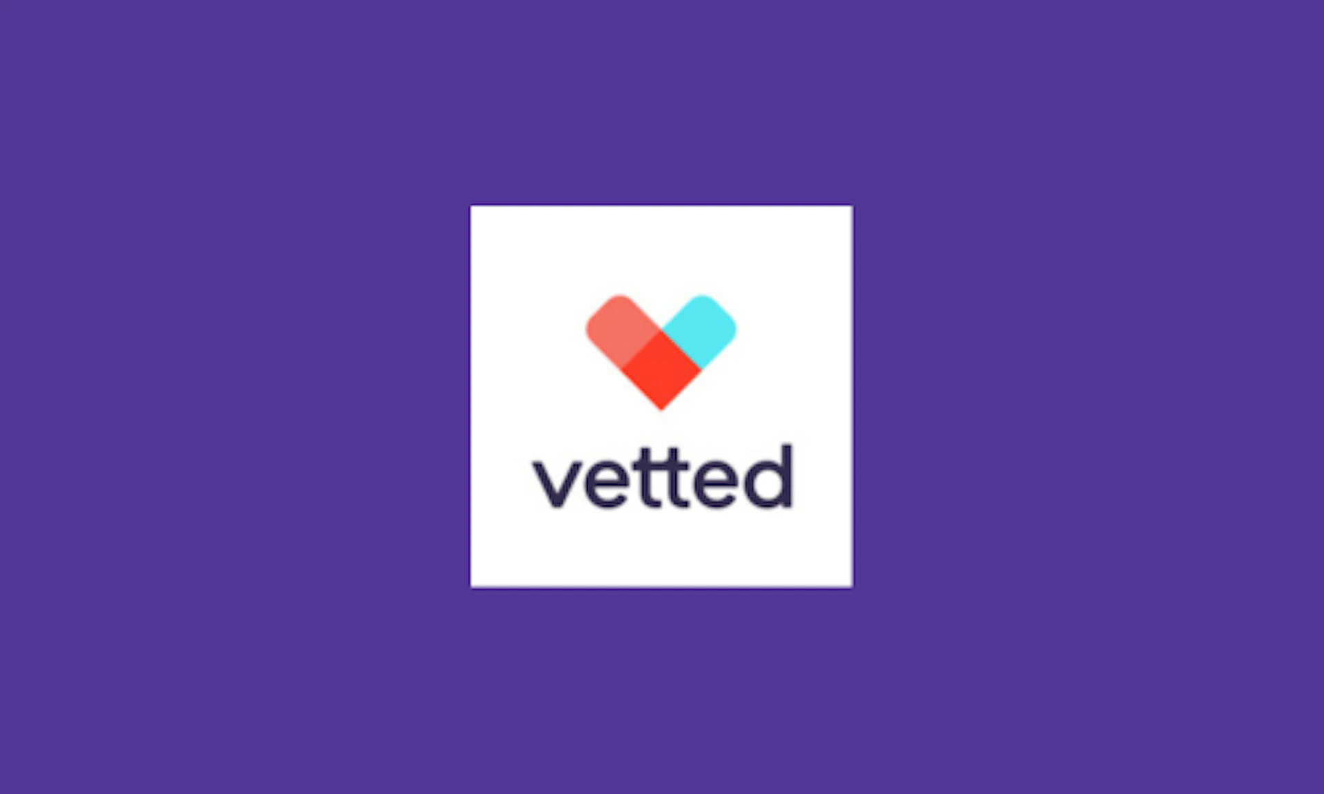 Vetted AI - AI Tool Logo & Interface Preview
