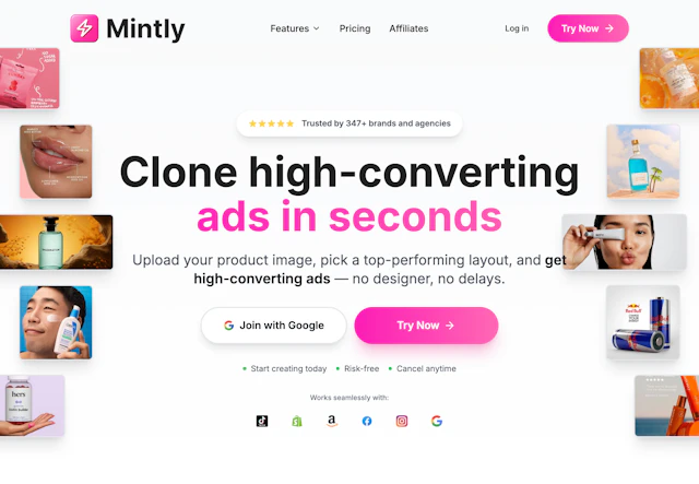 Mintly - AI Tool Logo & Interface