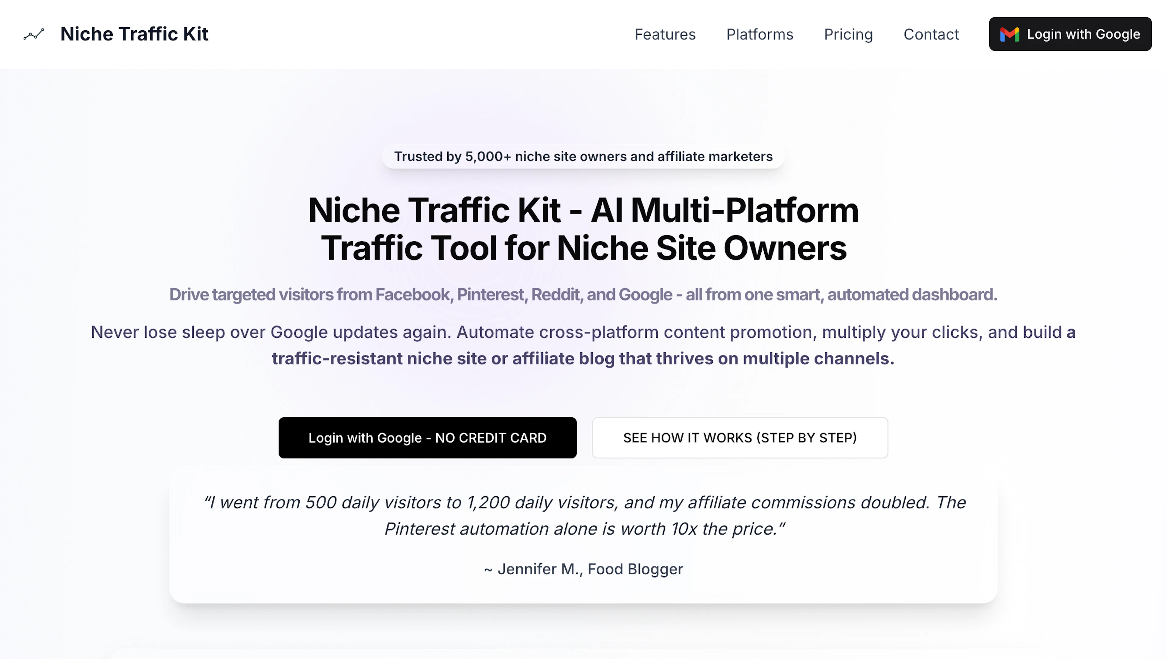 Niche Traffic Kit - AI Tool Features, UI & Interface Overview