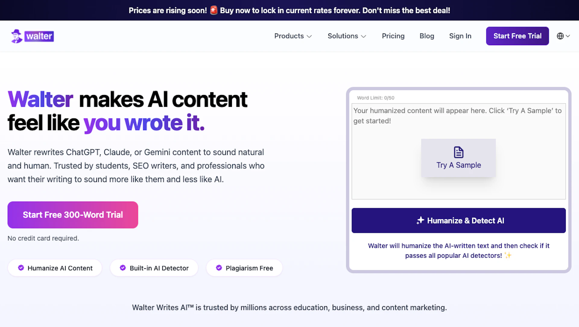 Walter Writes - AI Tool Logo & Interface Preview