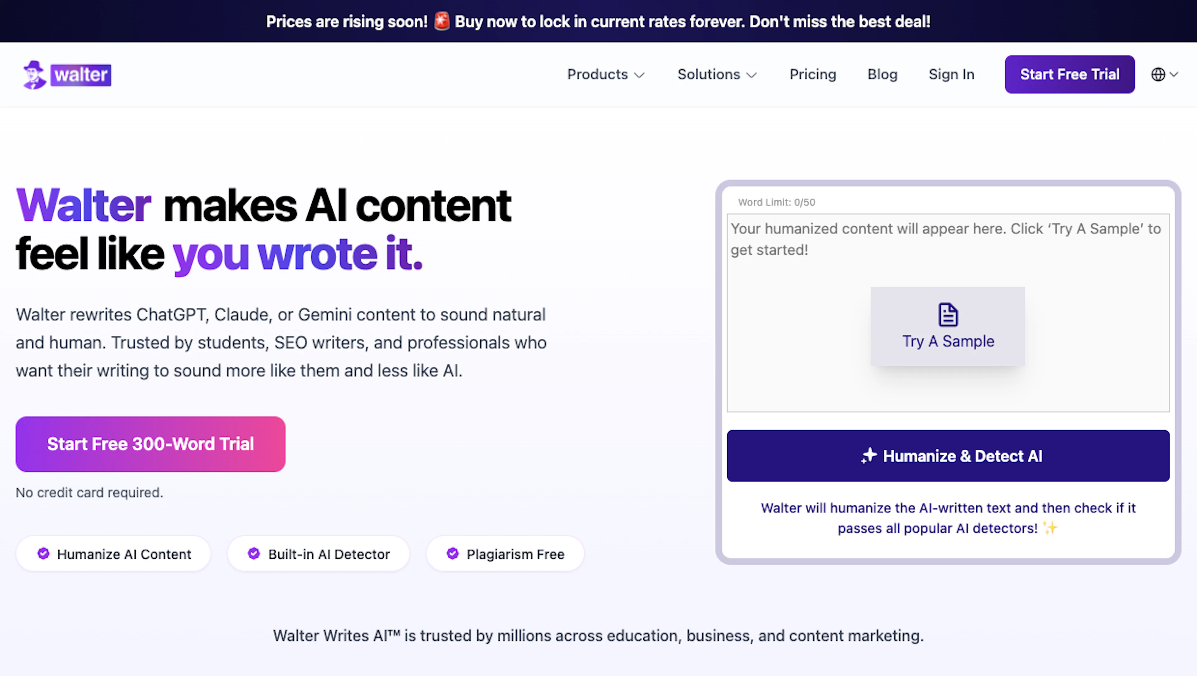 Walter Writes - AI Tool Features, UI & Interface Overview