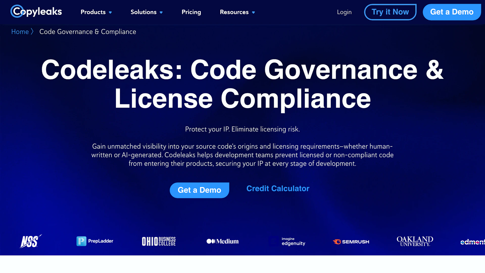 Codeleaks - AI Tool Logo & Interface Preview