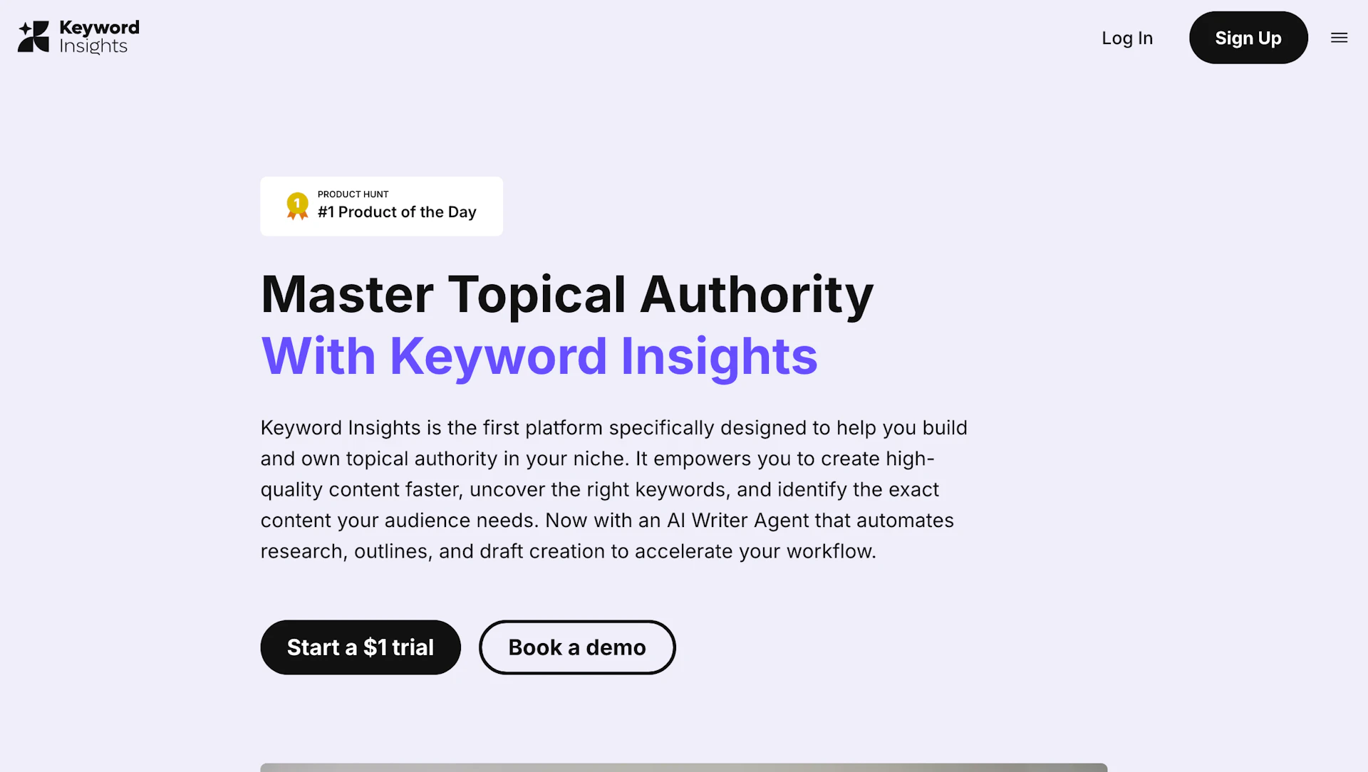 Keyword Insights - AI Tool Features, UI & Interface Overview