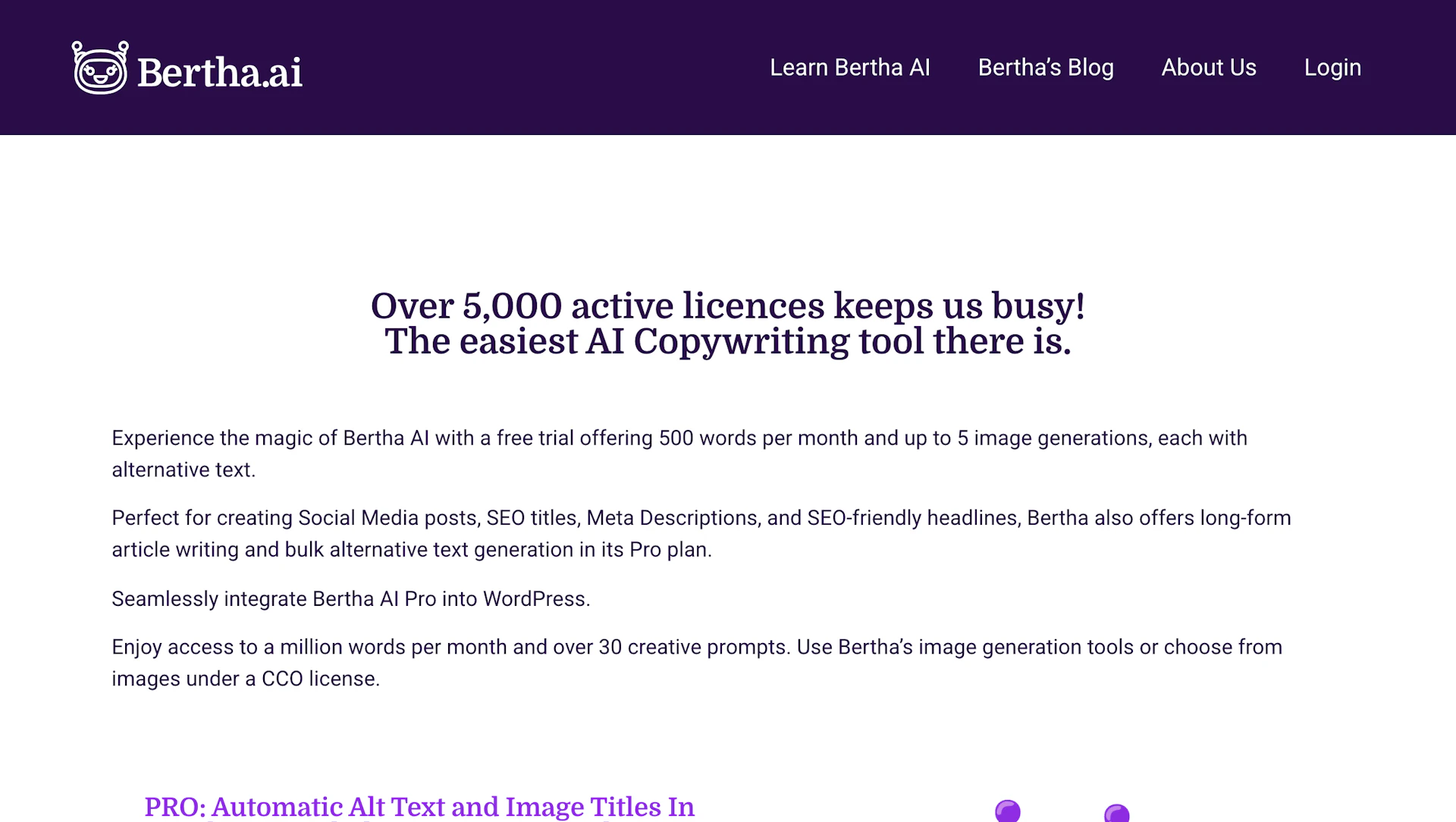 Bertha AI - AI Tool Features, UI & Interface Overview