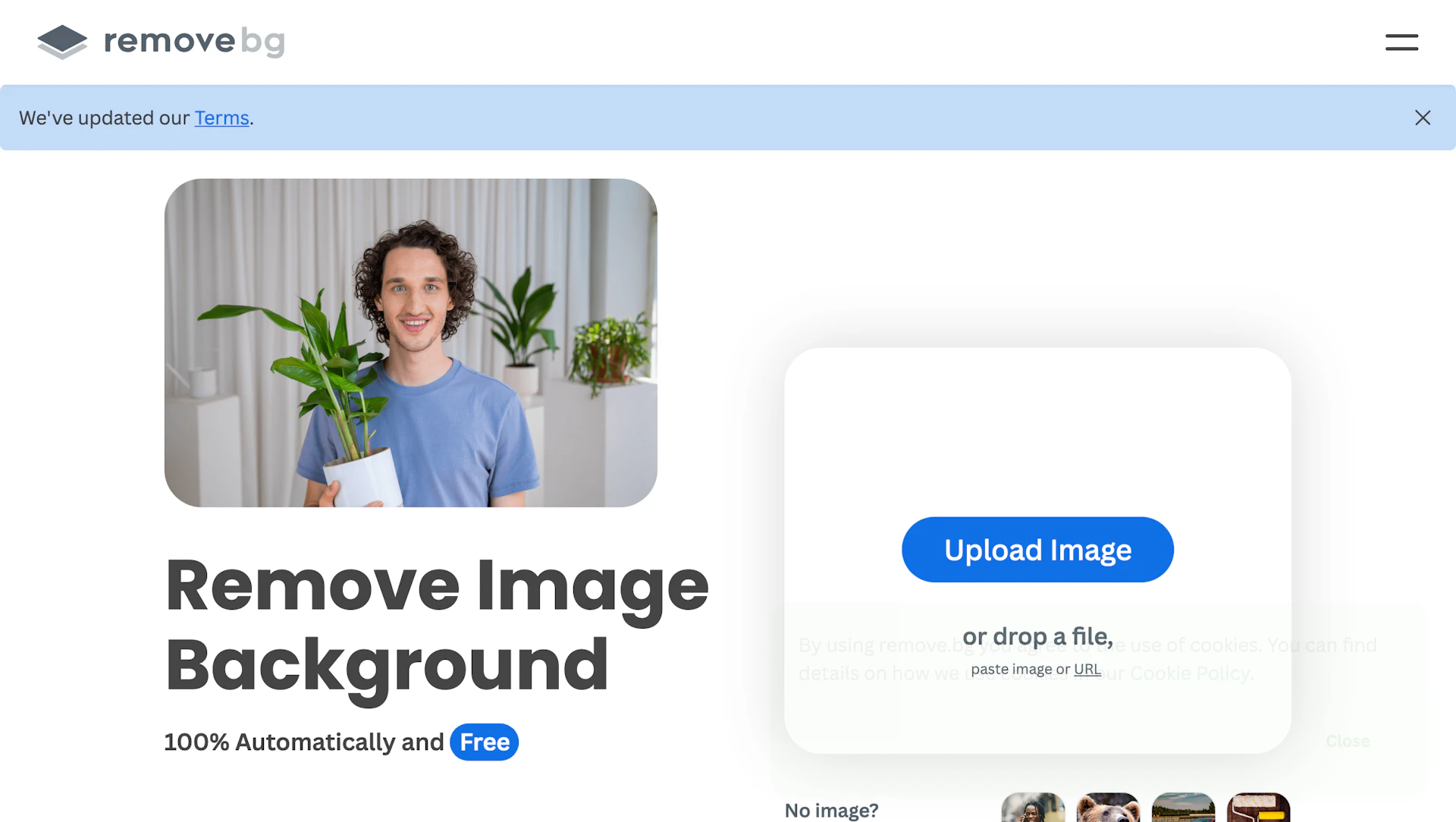 Remove BG - AI Tool Features, UI & Interface Overview