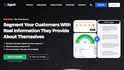 Zigpoll - AI Tool Profile and Logo Preview