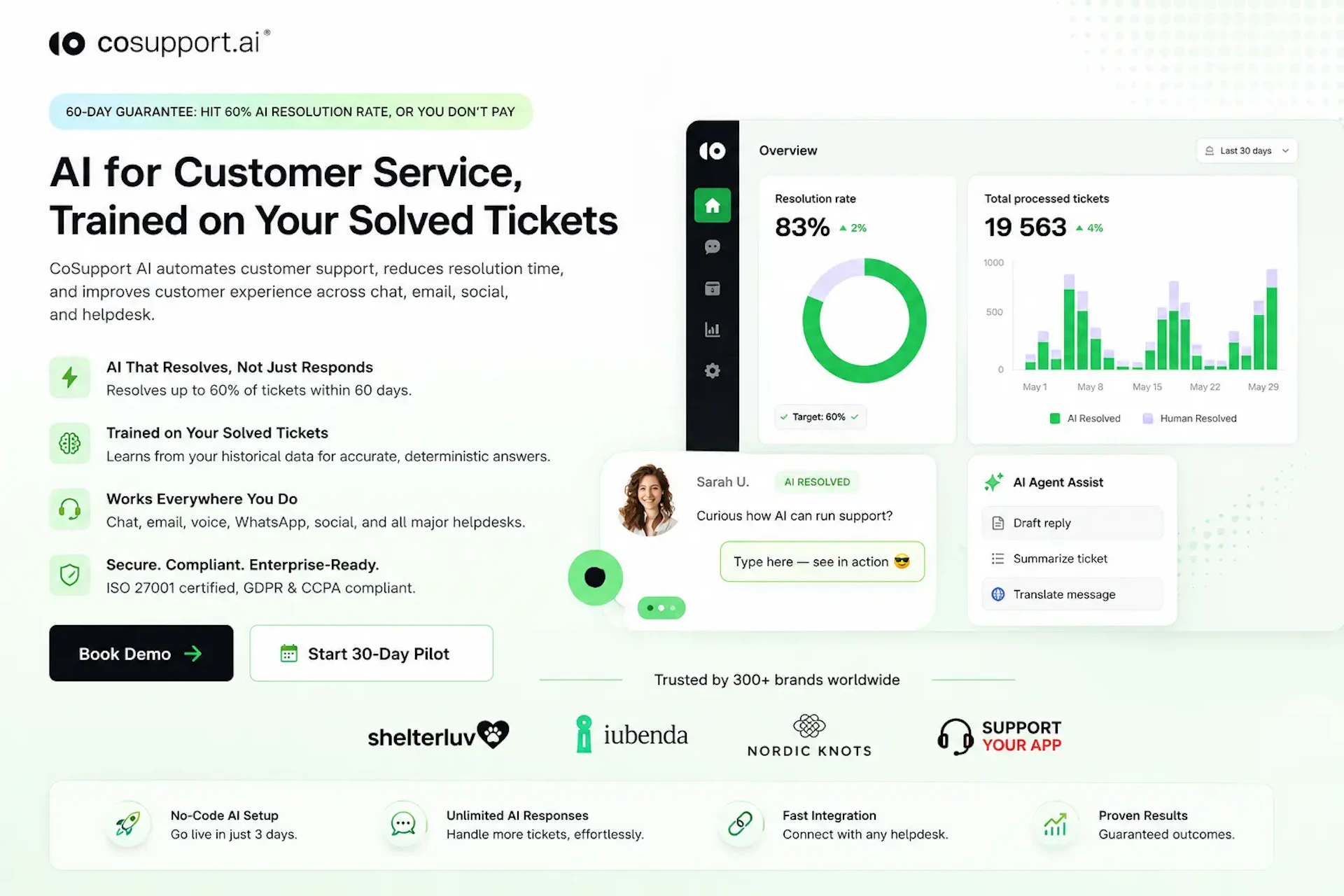 CoSupport AI - AI Tool Features, UI & Interface Overview