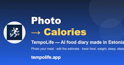 TempoLife - AI Tool Profile and Logo Preview