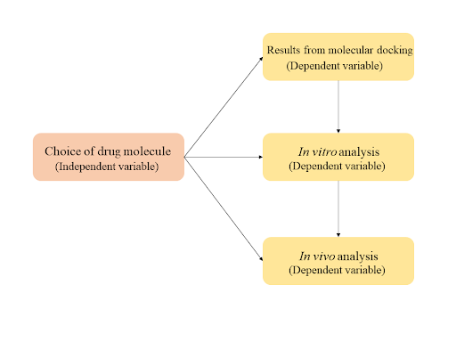 What Is A Conceptual Framework? | AJE