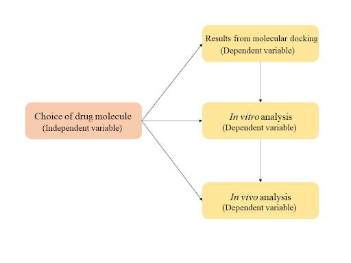 an example of a conceptual framework