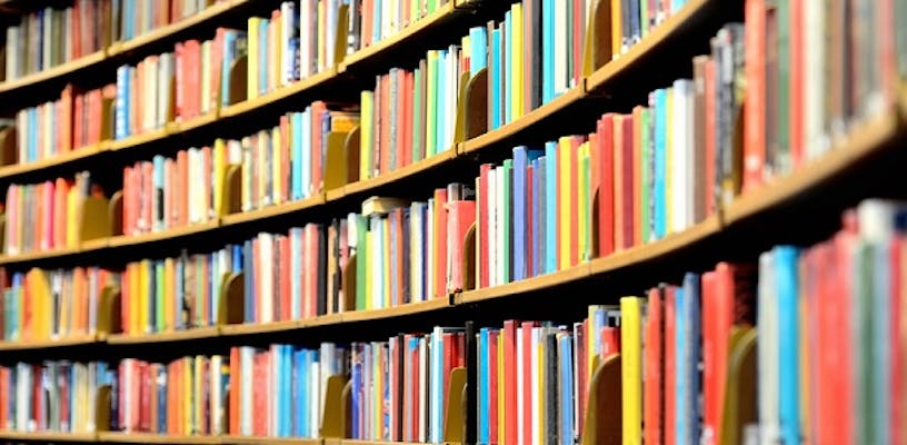 Shelves filled with published books