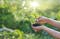 a life biology researcher holding up a plant and trying to identify the scientific plant name