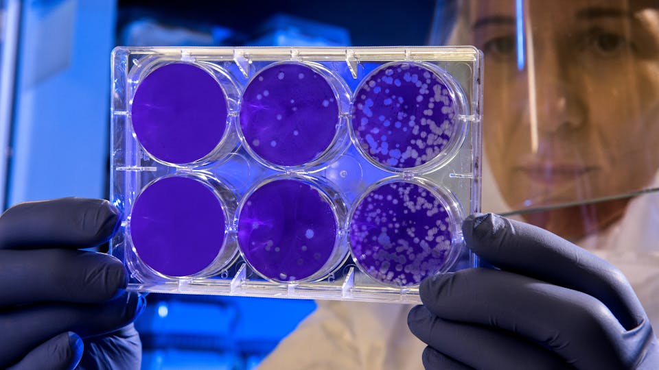 Na Guerra Contra o Coronavírus, Prof. Bagnato Desenvolve Rodo UV para Desinfecção Hospitalar