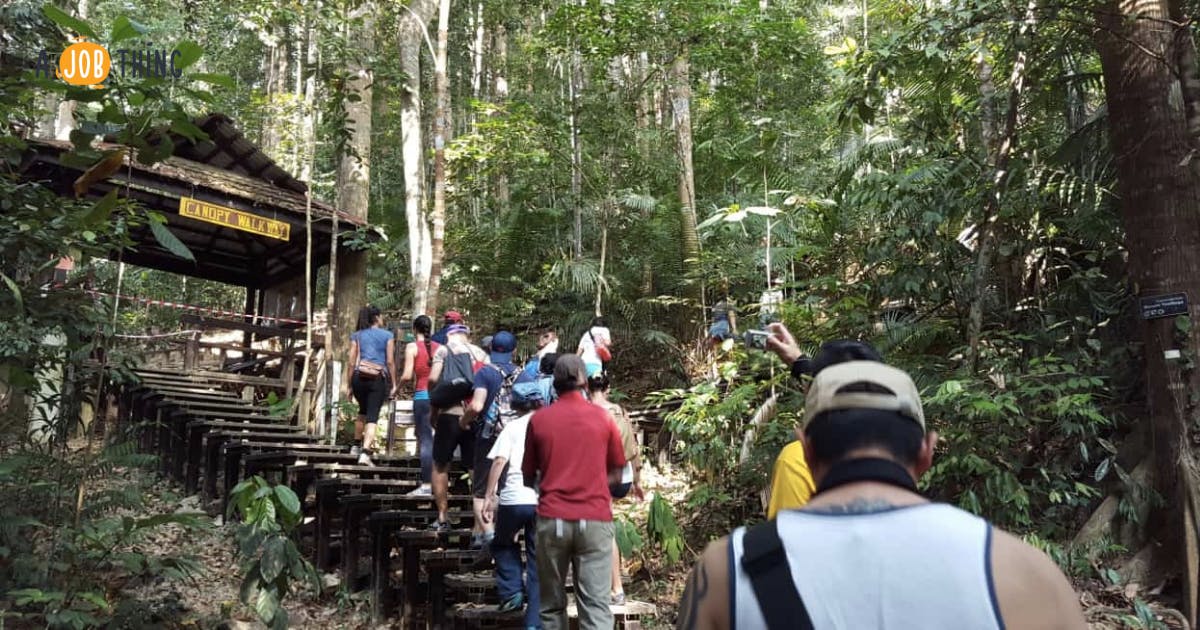 Jungle Adventure in Taman Negara - A Job Thing