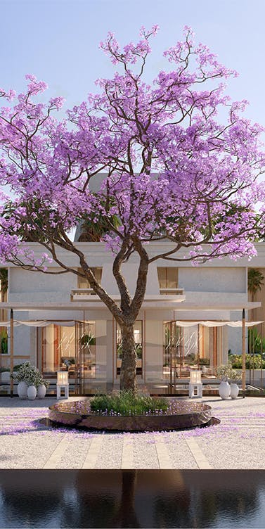 Amaala unveils first hotel brand