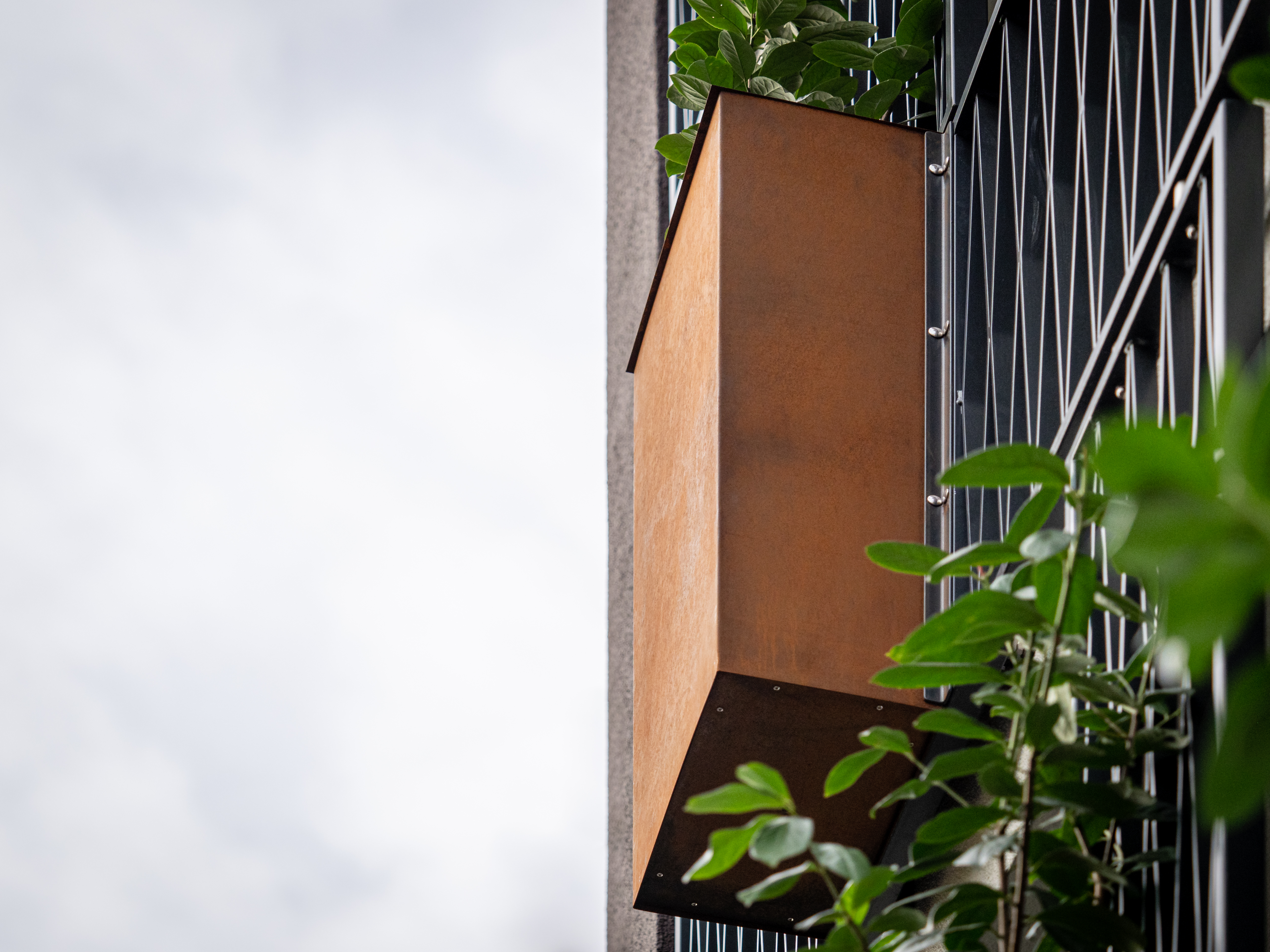 Ein Pflanzenkübel aus Cortenstahl an Rankhilfen und Absturzsicherung aus Gusseisen - Neubau eines Mehrfamilienhauses in Siegburg.