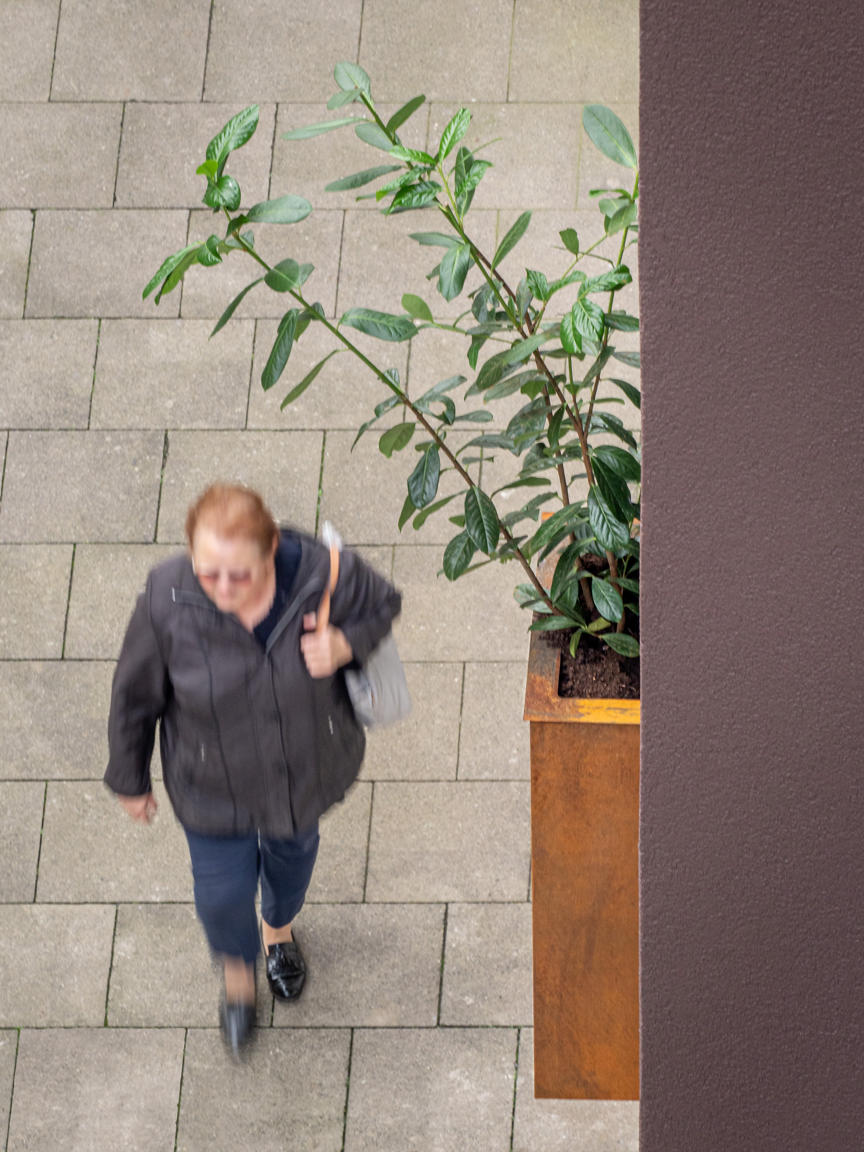 Ein fest installierter Pflanzenkübel der vorderen Fassade - Neubau eines Mehrfamilienhauses in Siegburg.